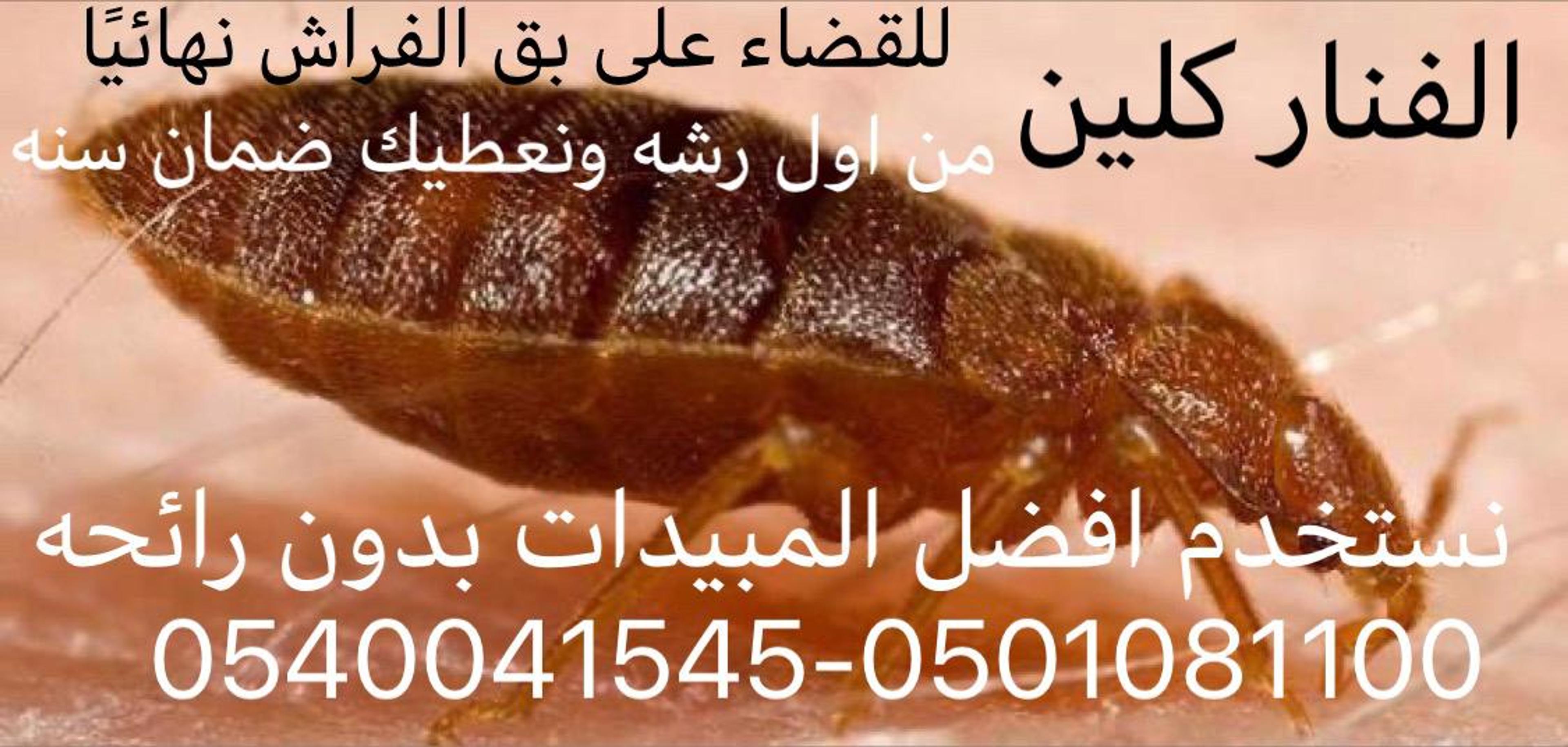 b21e5fe5-590b-4a41-bc3c-d1cf6f7893c7.jpeg