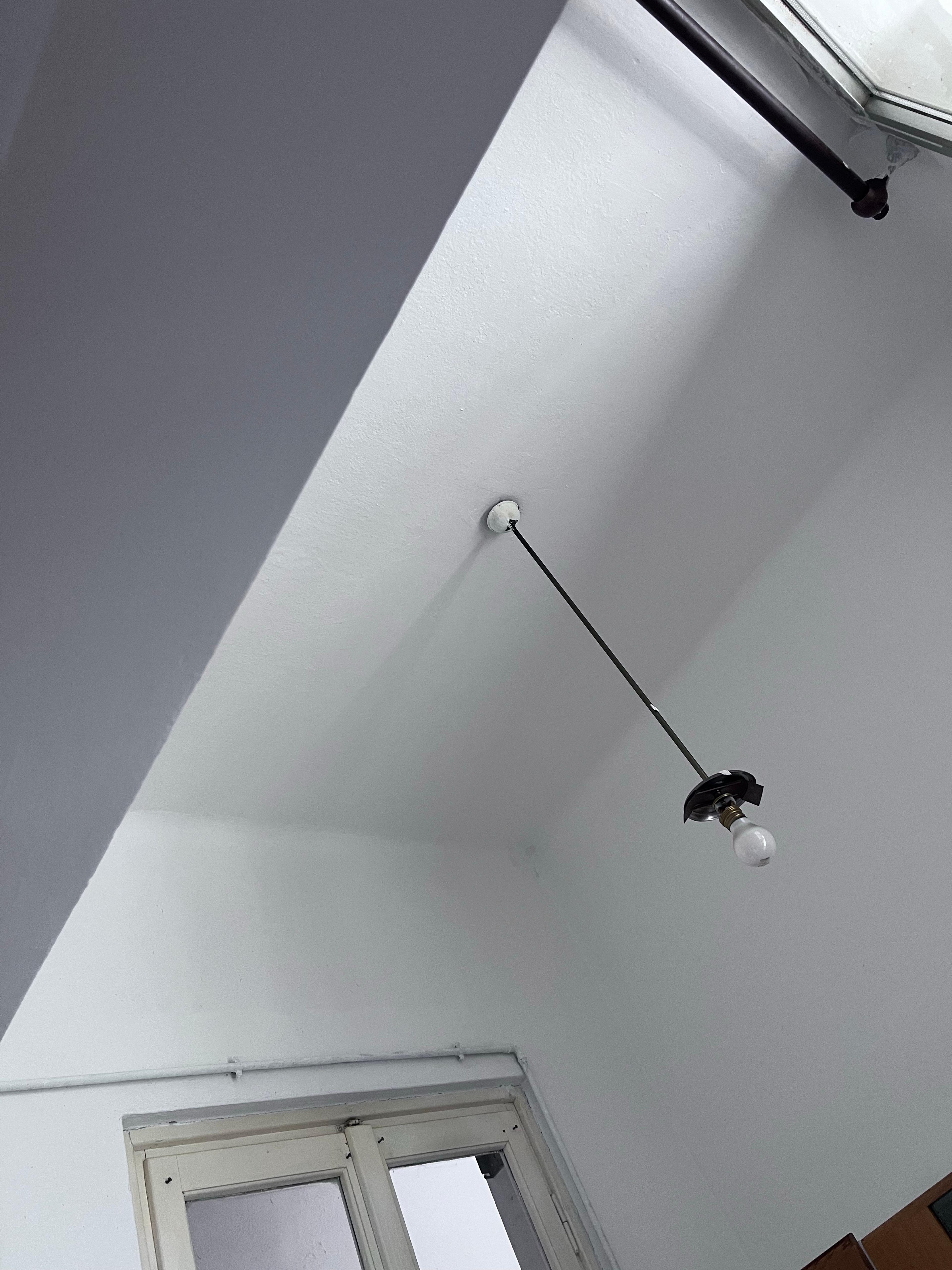 b236f262-0cb9-47c1-8795-d9f0f1046049.jpeg