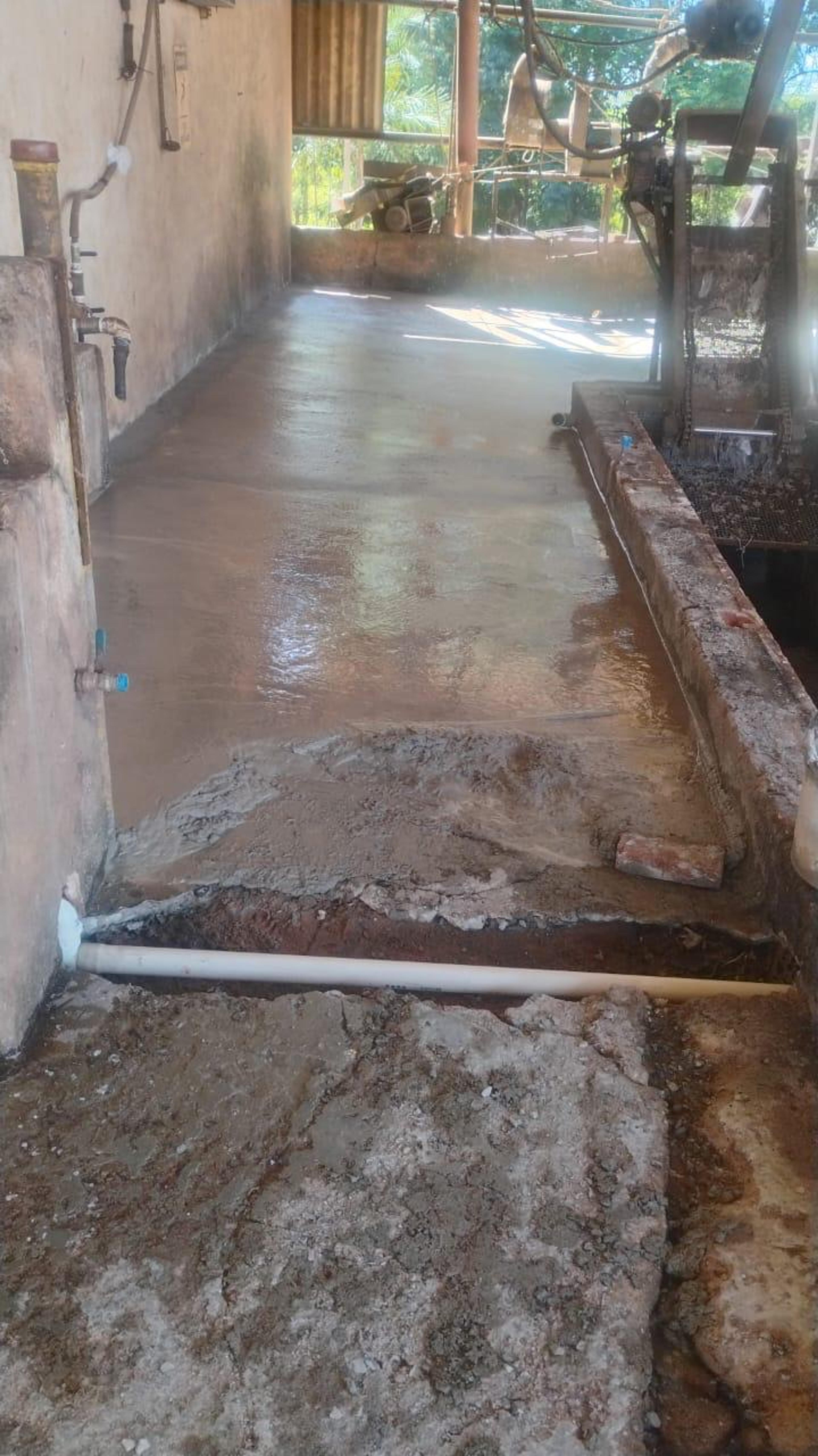 b24af29a-507e-43a8-9464-7c9af37adc50.jpeg