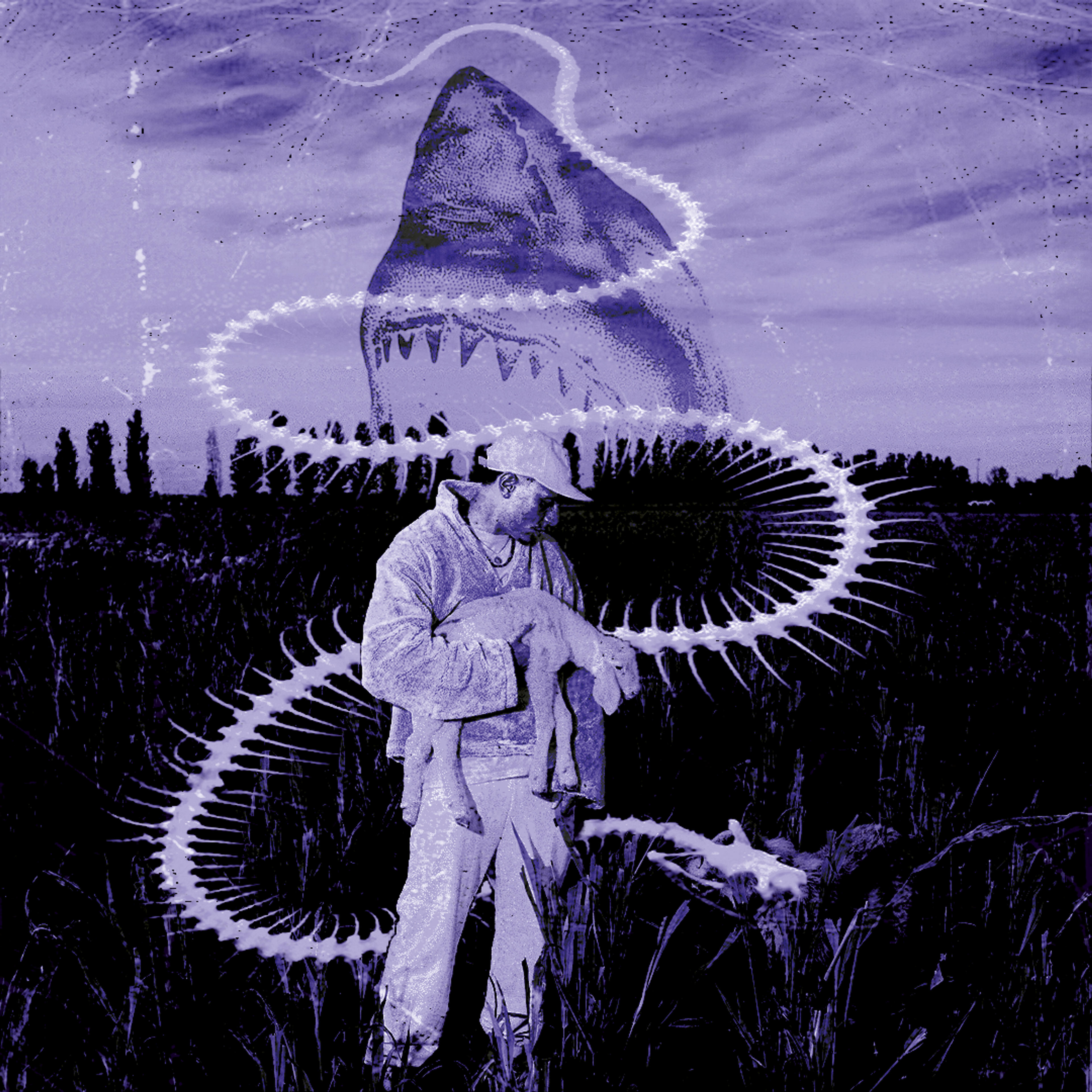 b2539caa-3289-4212-b0a7-6aa05c0241a3.png