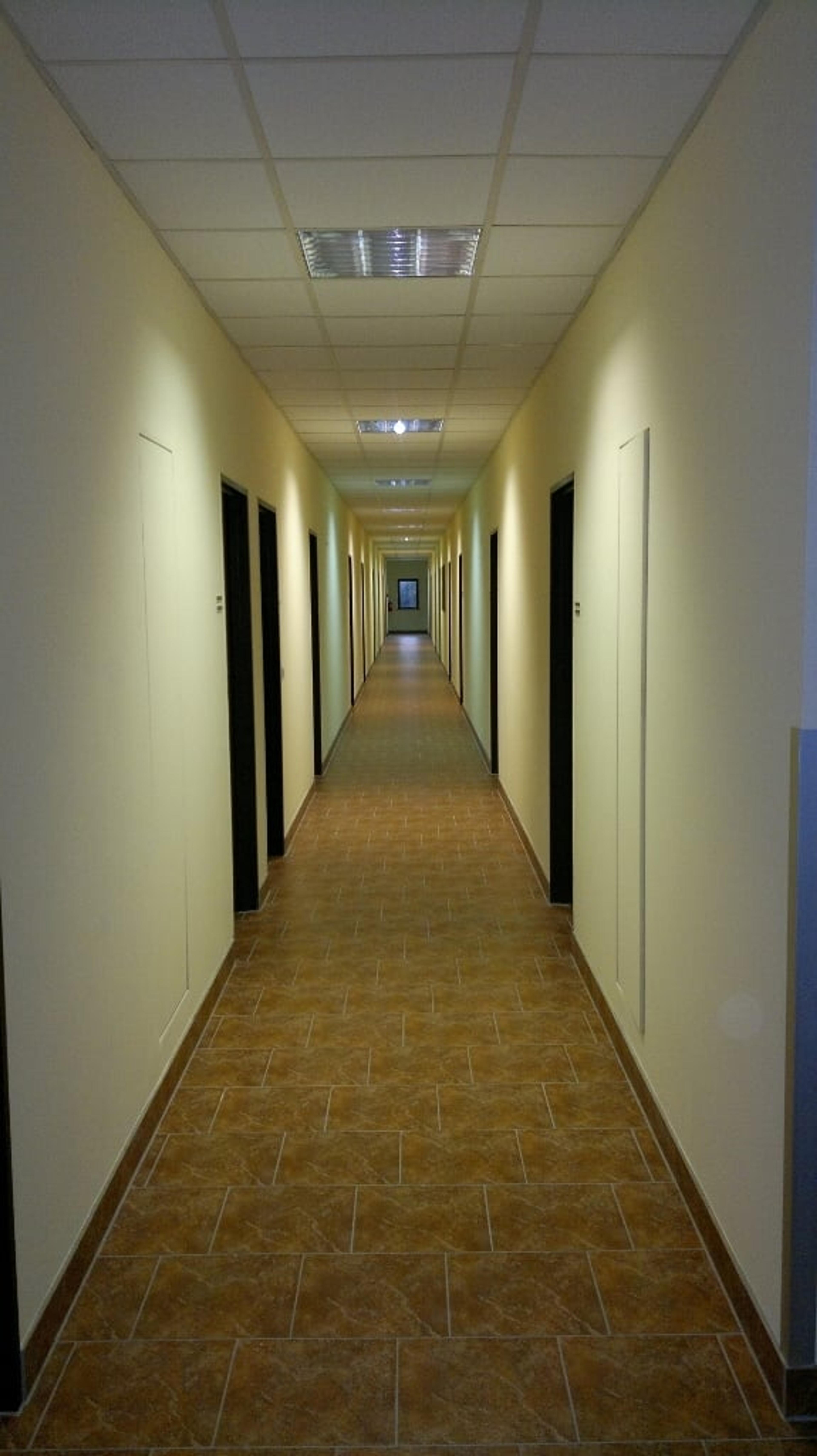 b2aeff67-187c-4ea0-814c-838308d92040.jpg