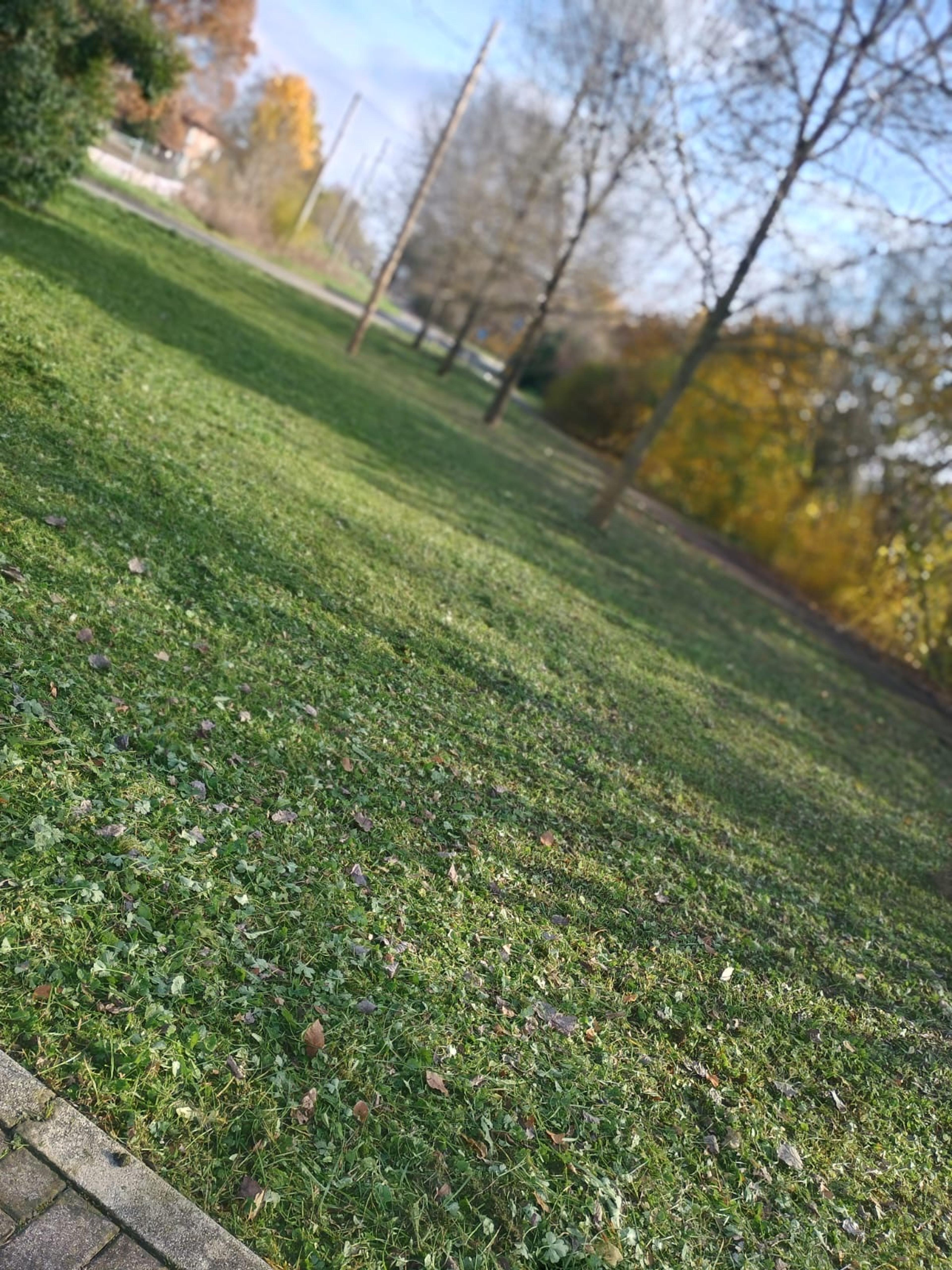 b2bd5098-da73-426a-a3b3-5d486a218b9a.jpeg
