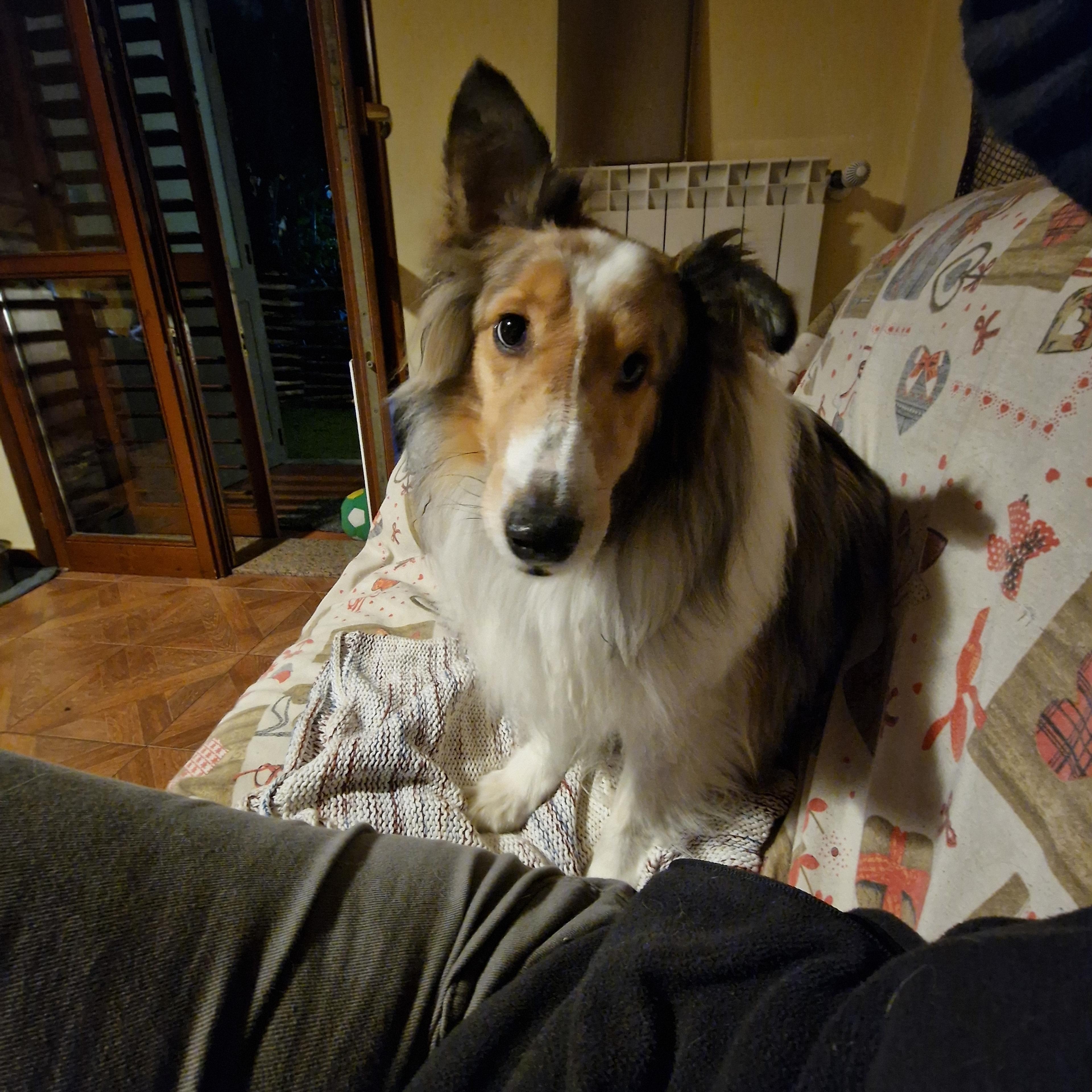 b309bd95-010f-4176-b07e-d55a85a0568d.jpeg