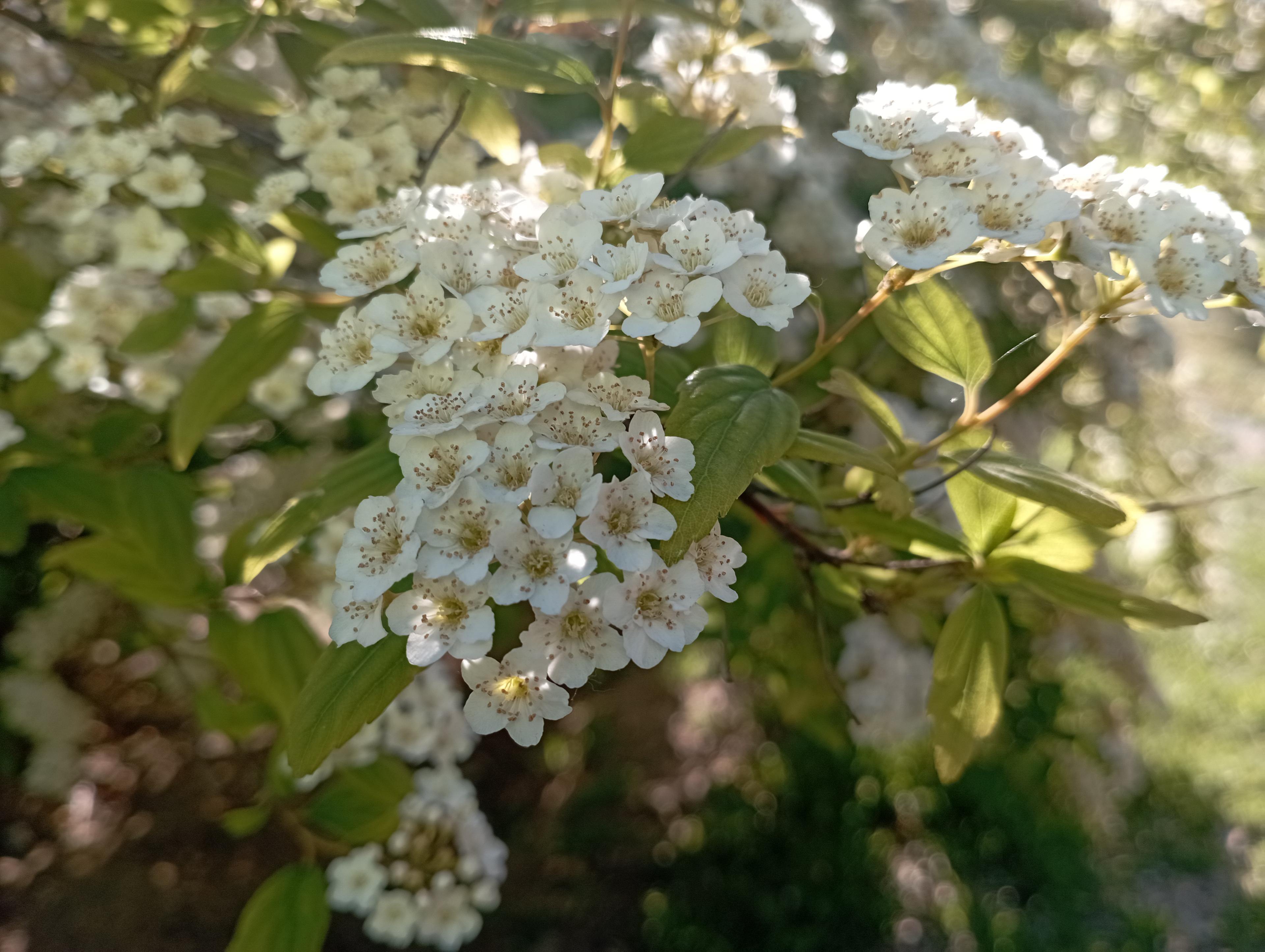 b39bdbc7-283e-45a2-838c-d31d5cab13bd.jpeg