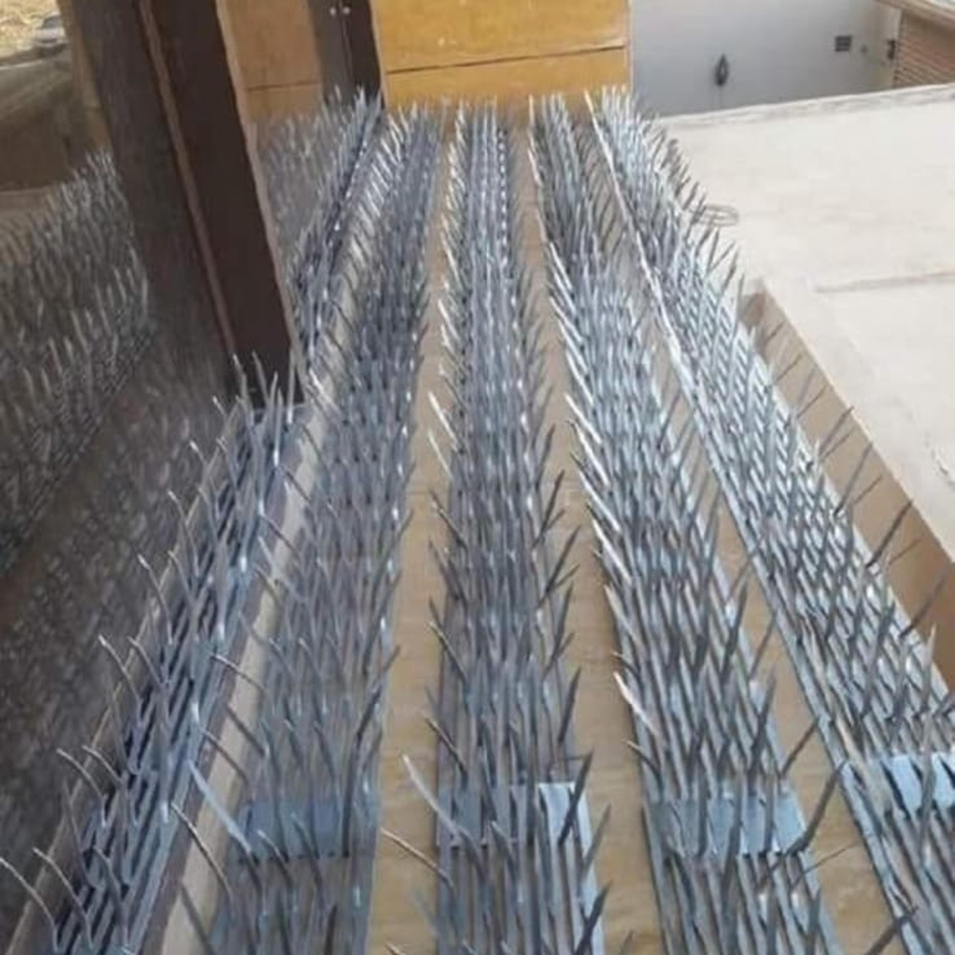 b417f156-2bd8-4d03-944a-5d6d3438ad0f.jpeg