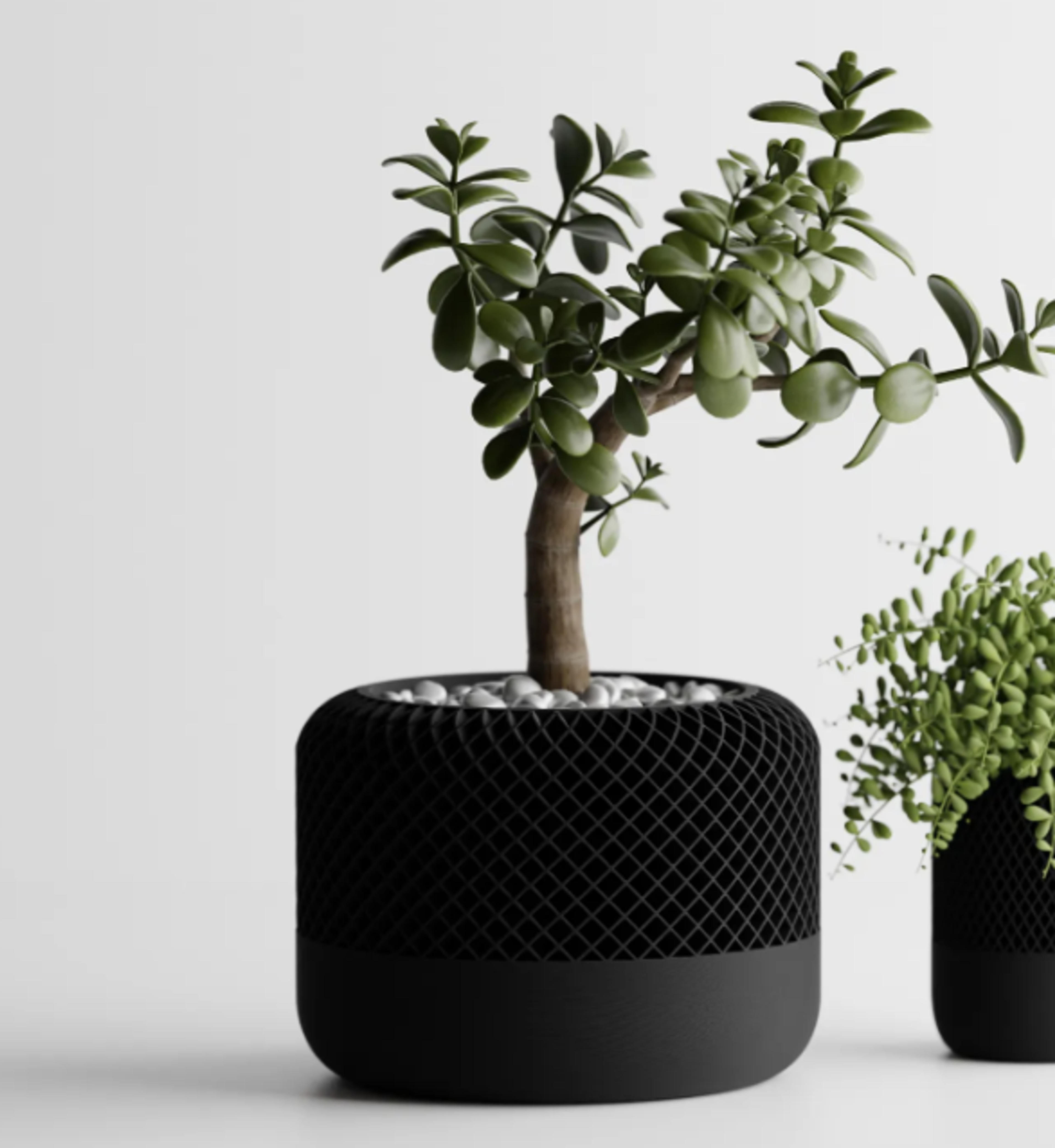 b43a52bd-0db1-4cc3-8866-a00bfcaecfd4.png