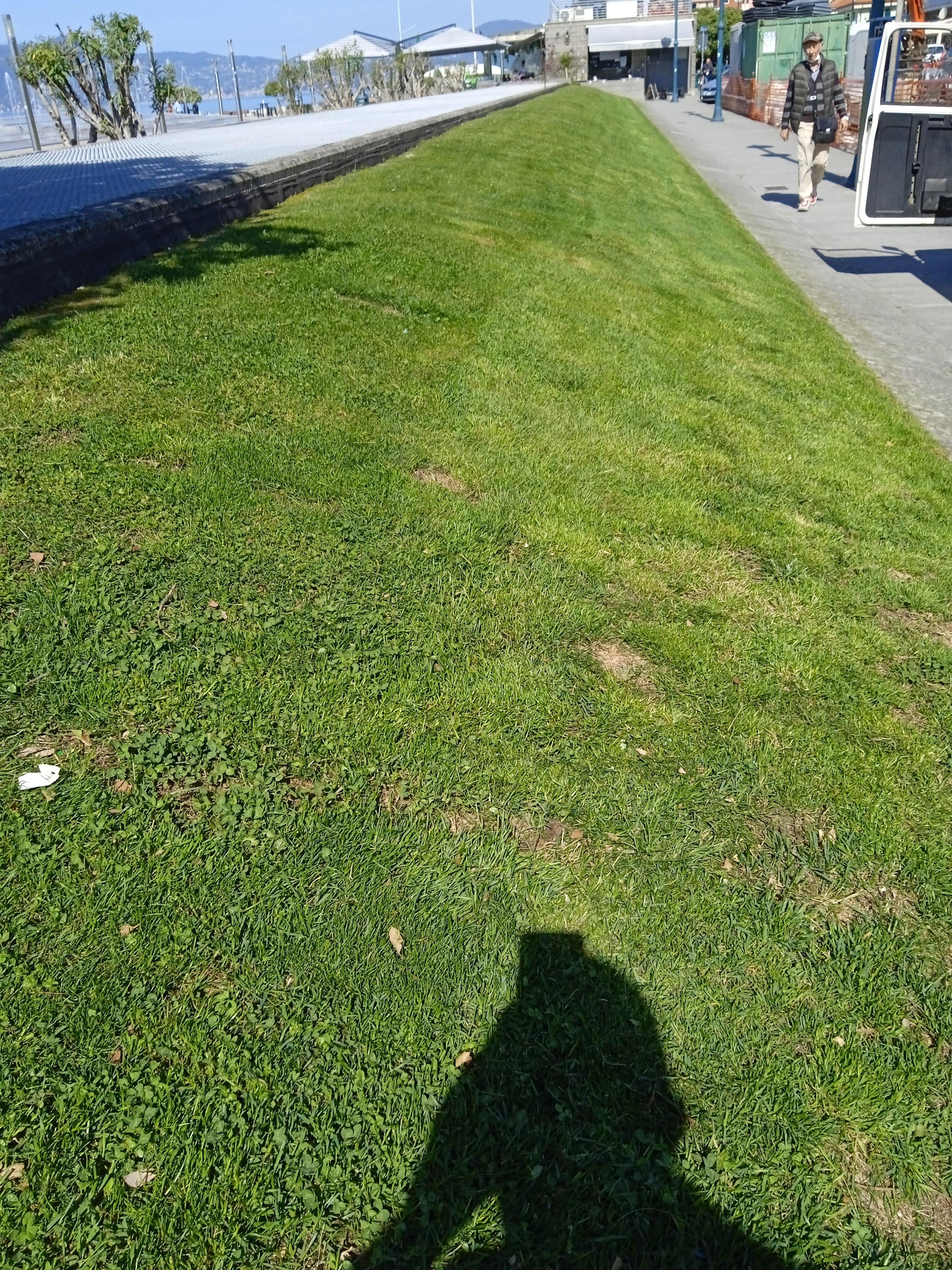 b4676f87-dd65-4e8f-86be-d3e402bdd74d.jpeg