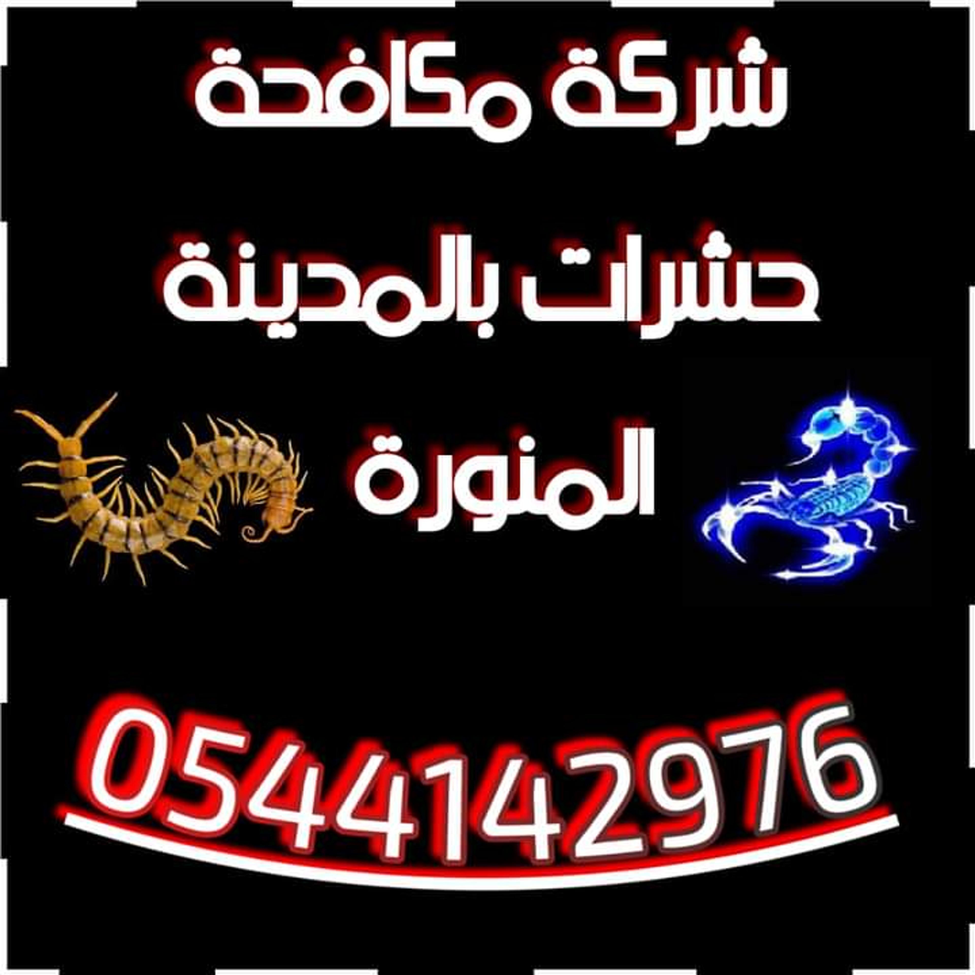 b4d44172-e259-4ea9-9c51-3366051b2de4.jpeg