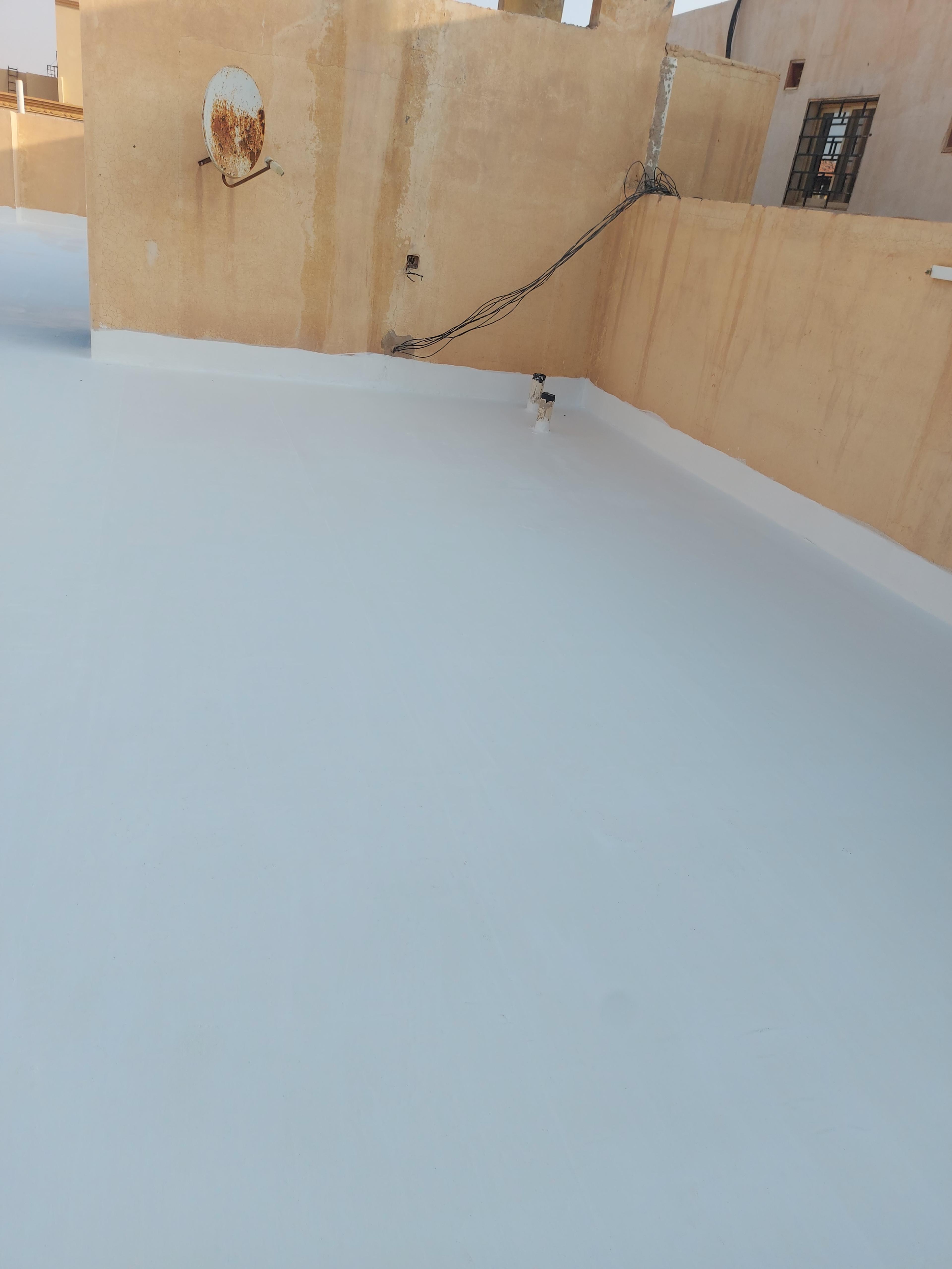b53c08da-7b80-4b14-81b9-a728db0a25d5.jpeg