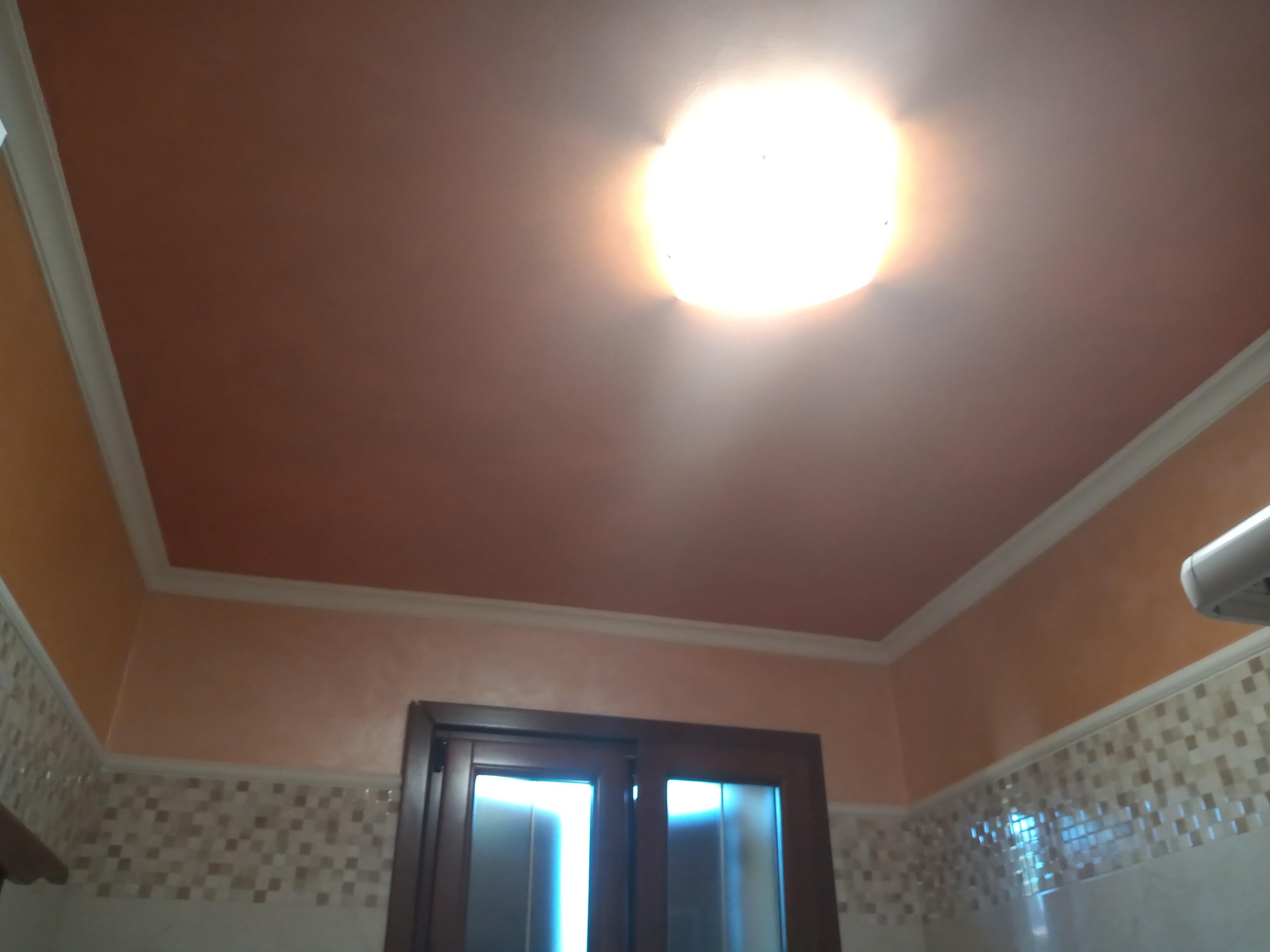 b5d0181c-324f-49c9-b01b-1849672e7336.jpeg