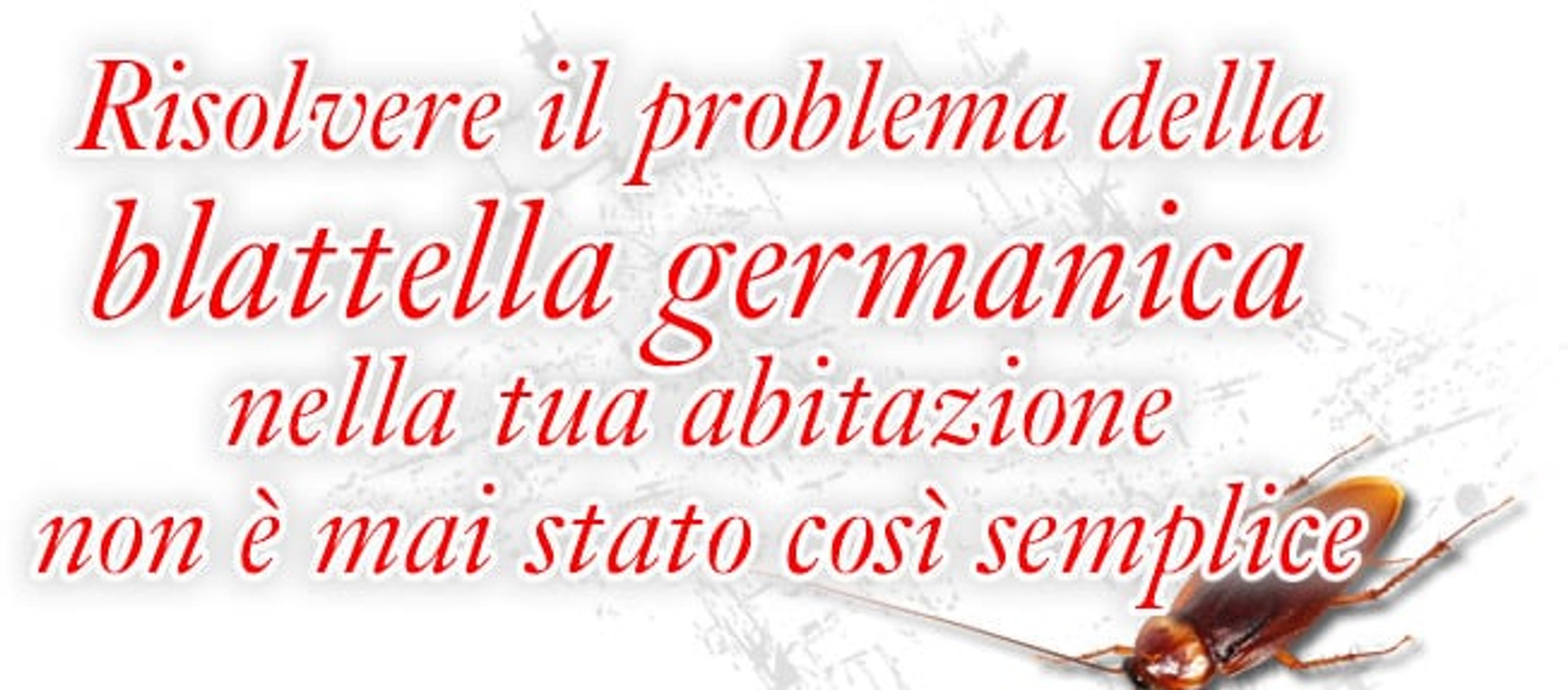 b5e080b5-1d25-440c-8dc5-ff87723aae18.jpg