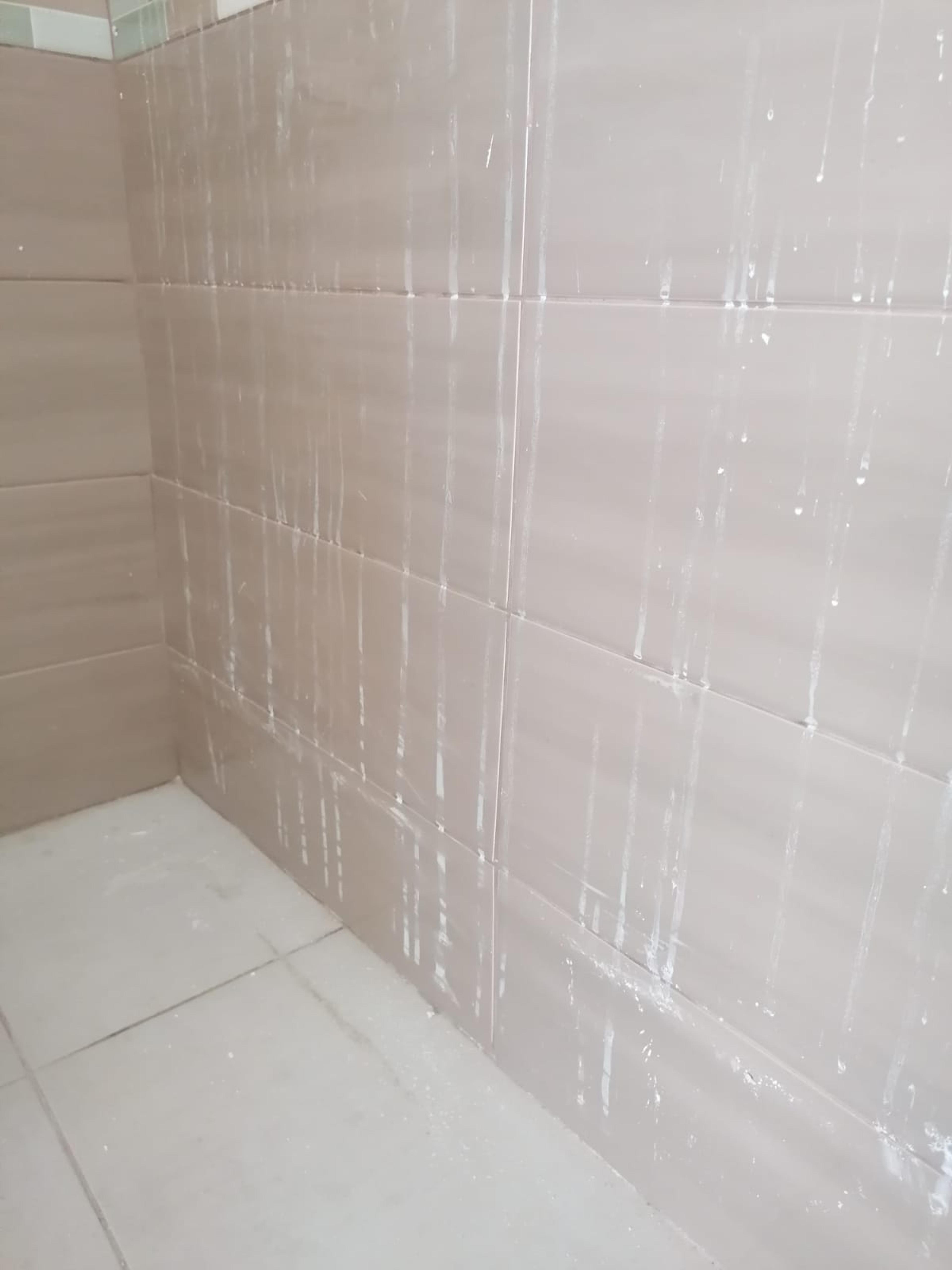 b61f01a7-709d-4df0-b483-a5fa6faa545e.jpeg