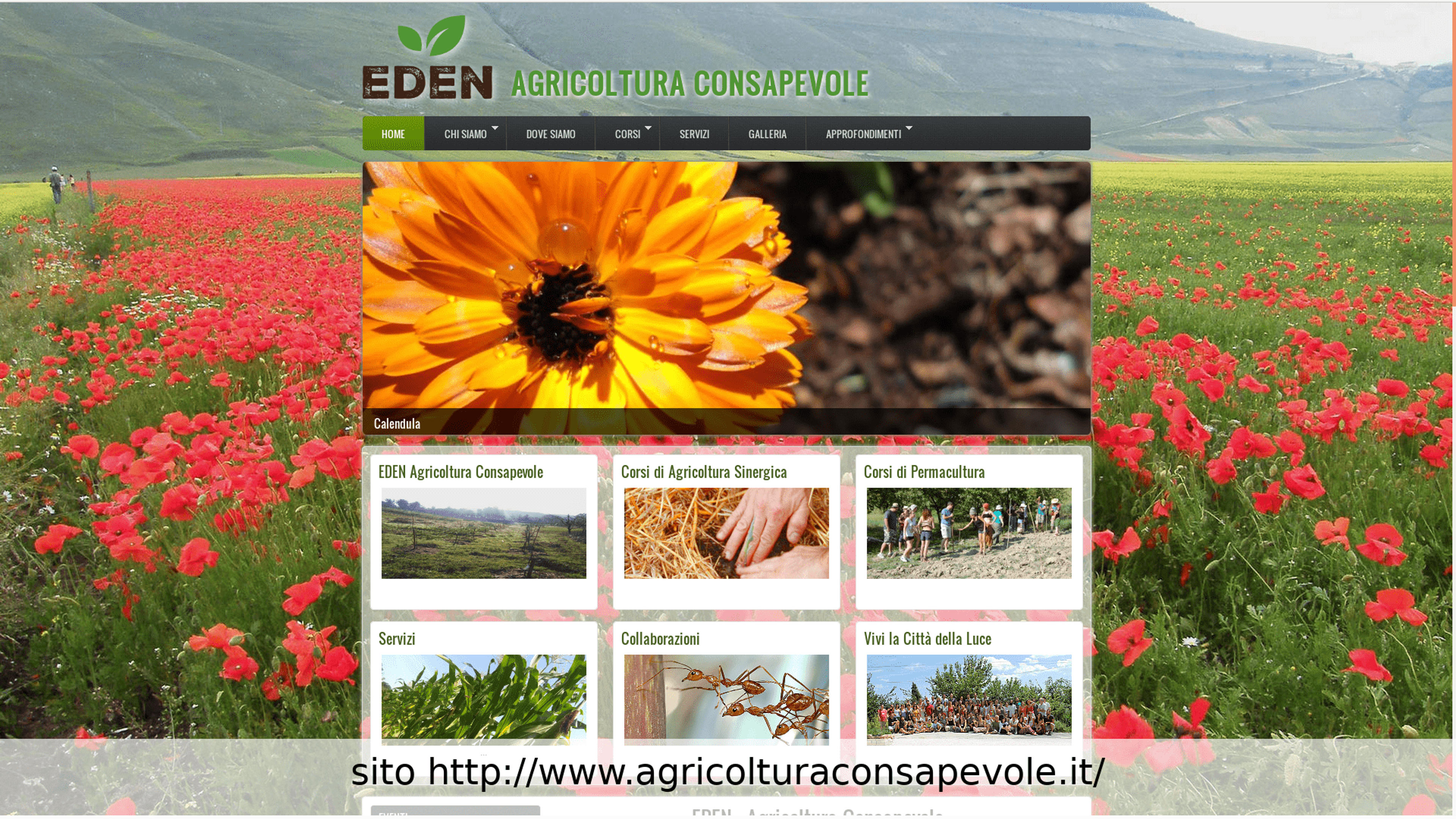 b6275cf5-e37f-48e2-86d0-78880290db7a.png