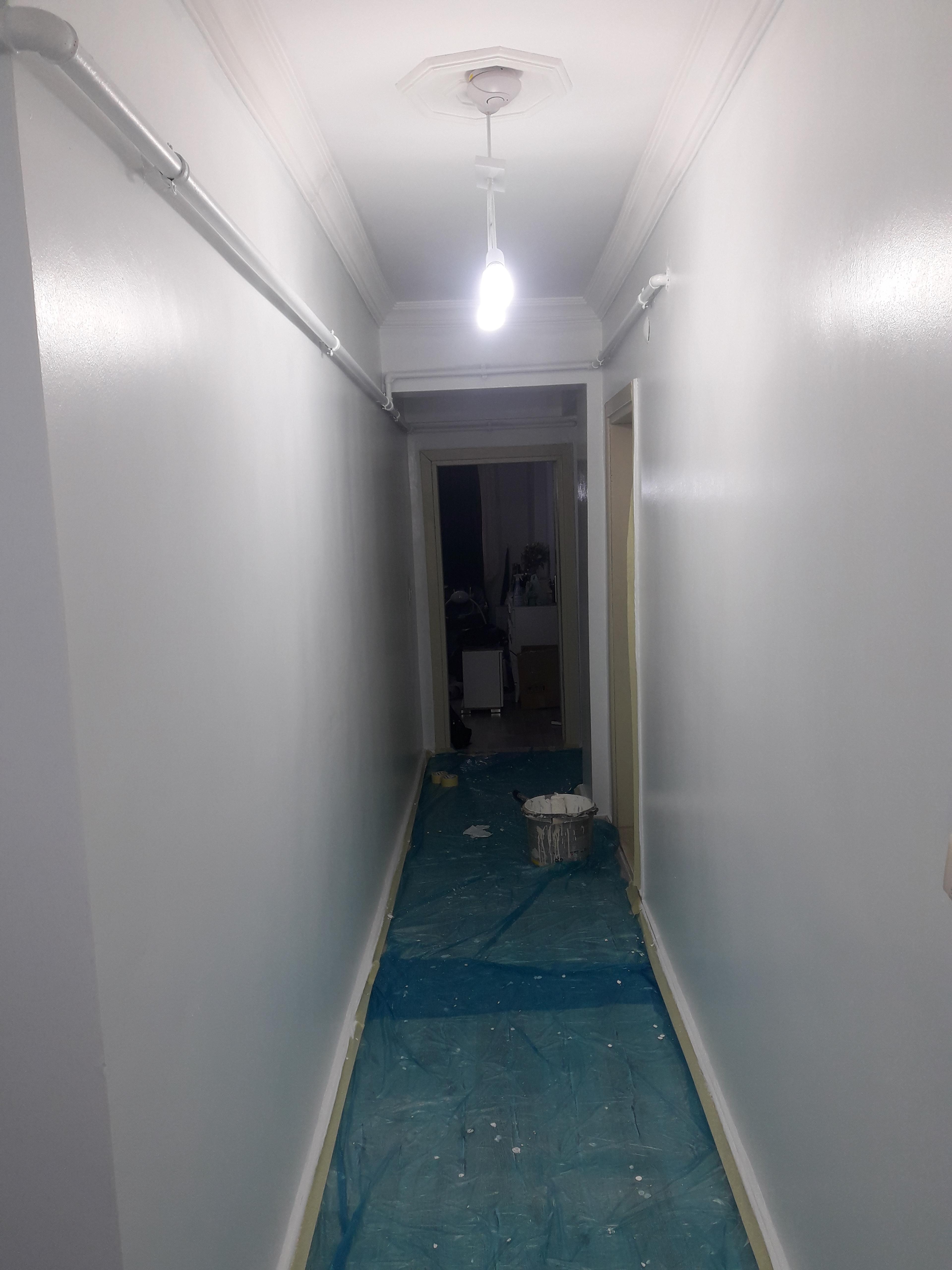 b639a0b9-e9a8-4de8-9101-aeb07982932b.jpeg