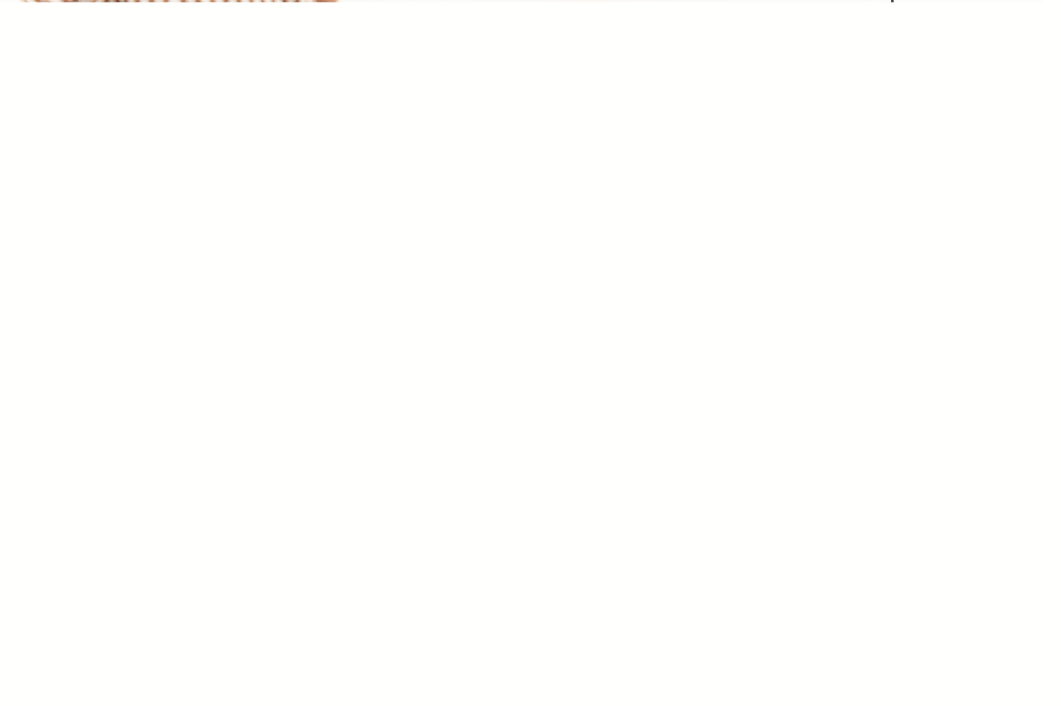 b69e65f2-a366-4847-9ce5-728bbaffa9ad.jpeg