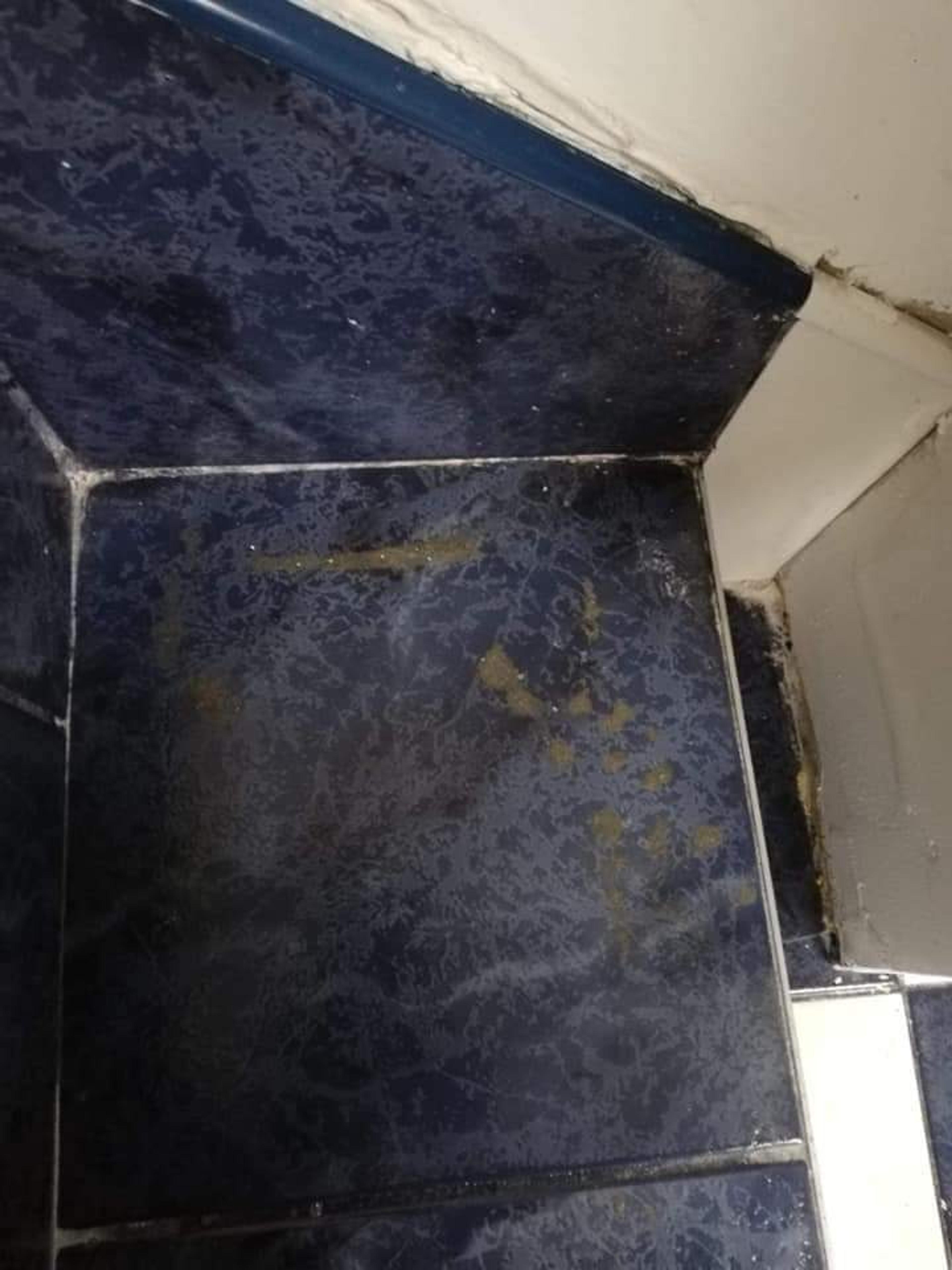 b7a2afef-ebcd-42aa-836e-839e9482087e.jpeg