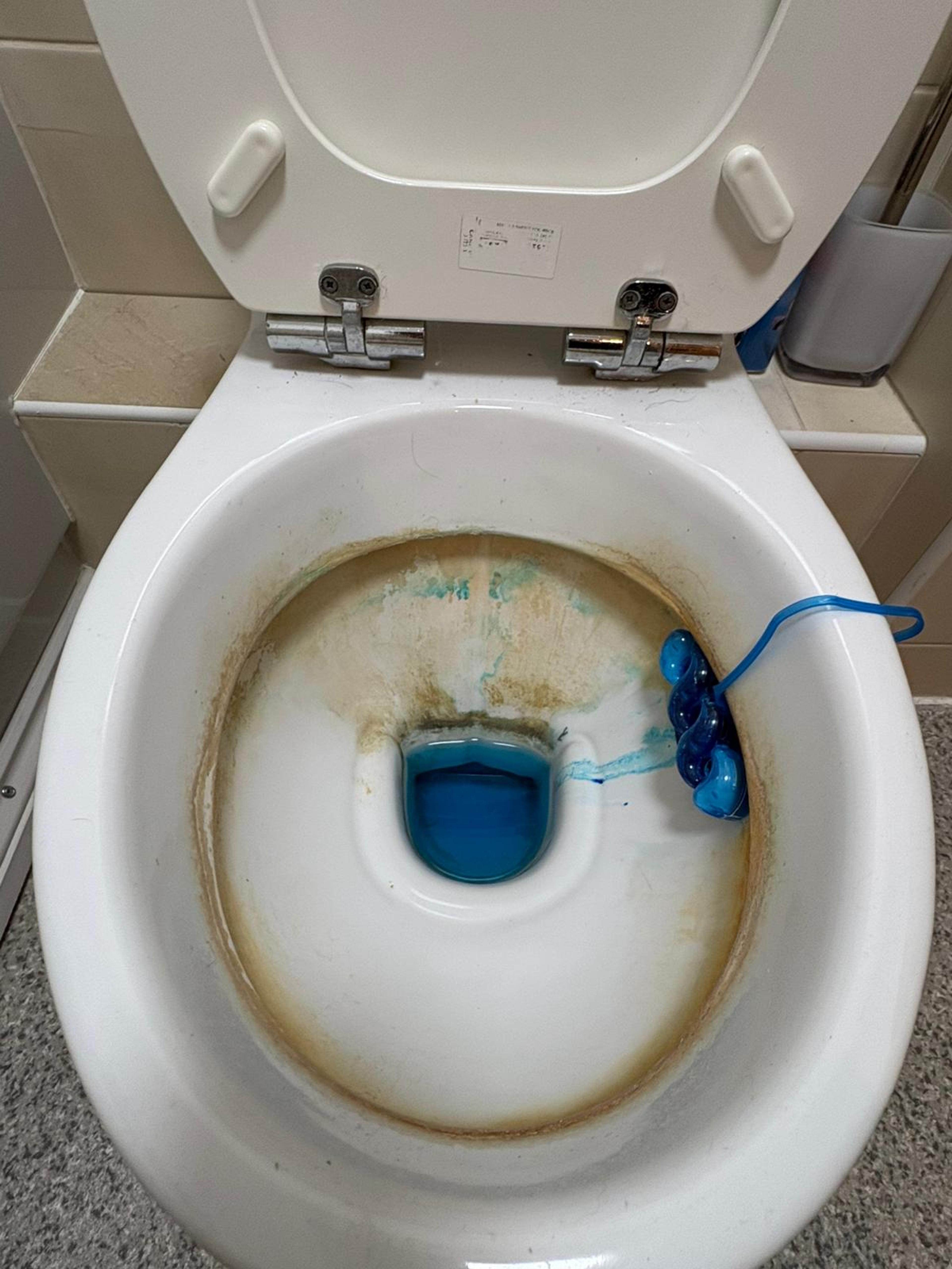 b8a83d0e-8491-406c-a341-d5cb64d6a44a.jpeg