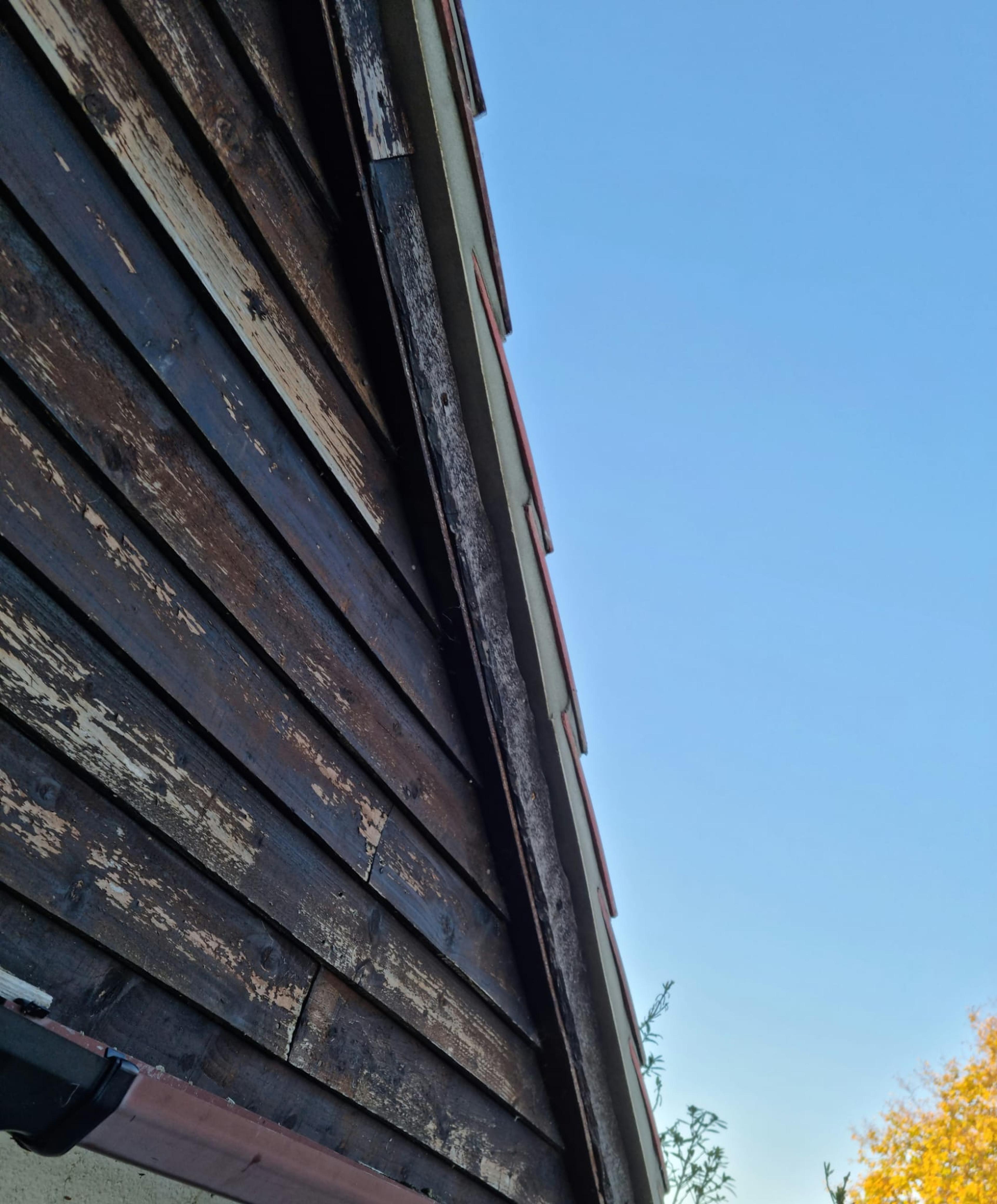 b8f1093d-24a0-4eaa-b0bb-6c8d5c4a1429.jpeg