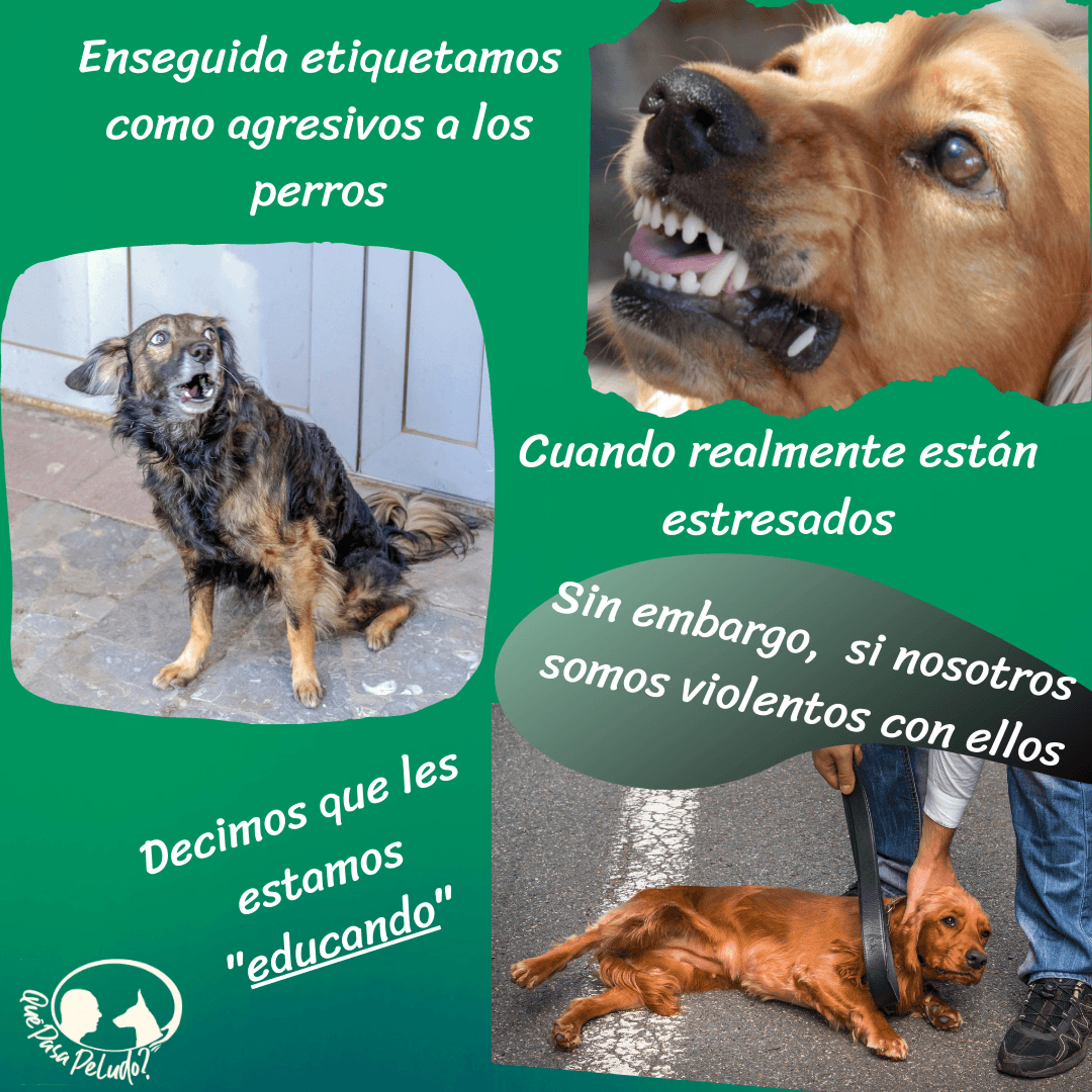b940e1f6-ca7b-47f1-b6dd-9659d1e27e7b.png
