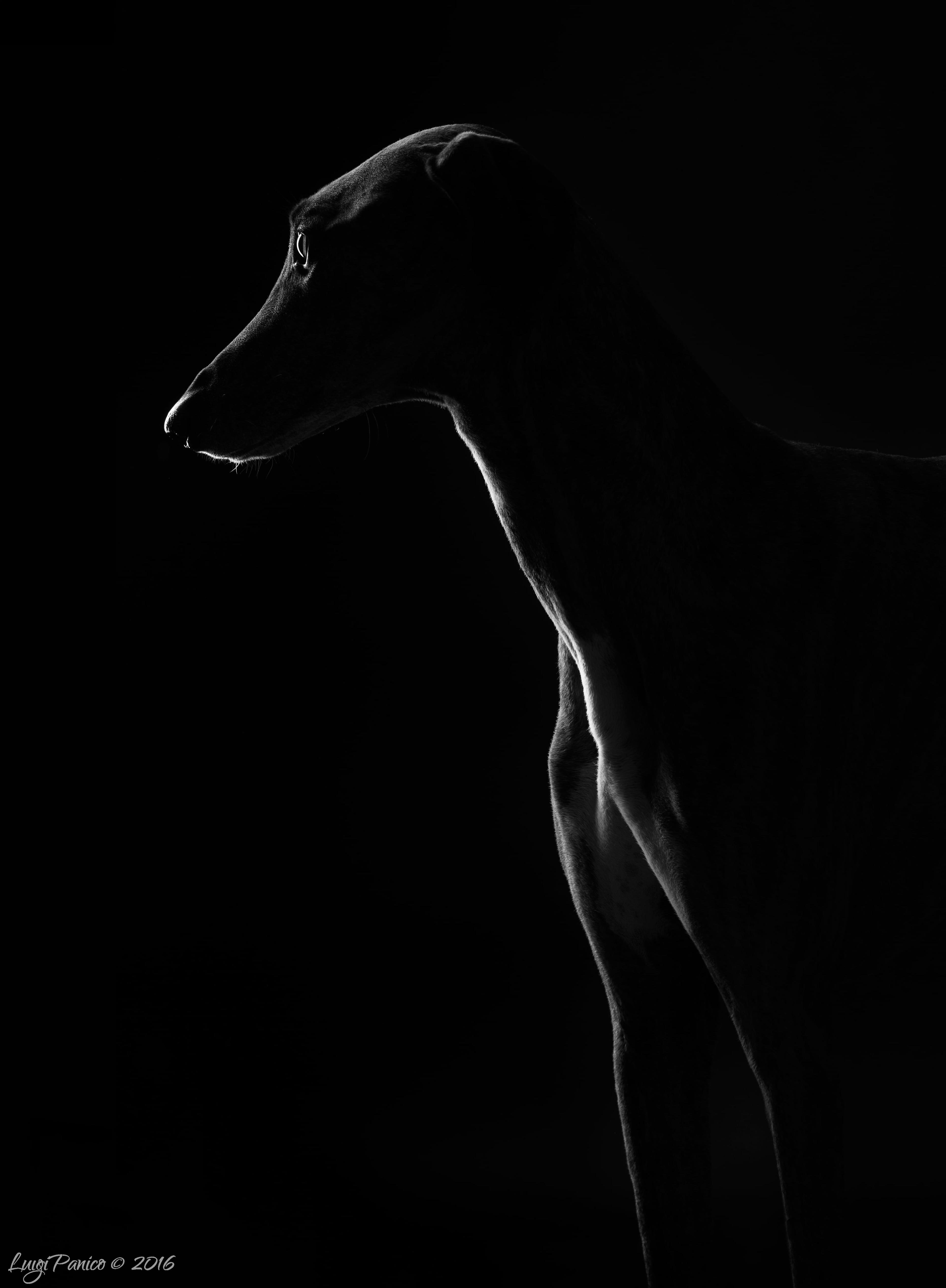 b9616255-e1bb-4077-a50c-0d6c5ade48d7.jpeg