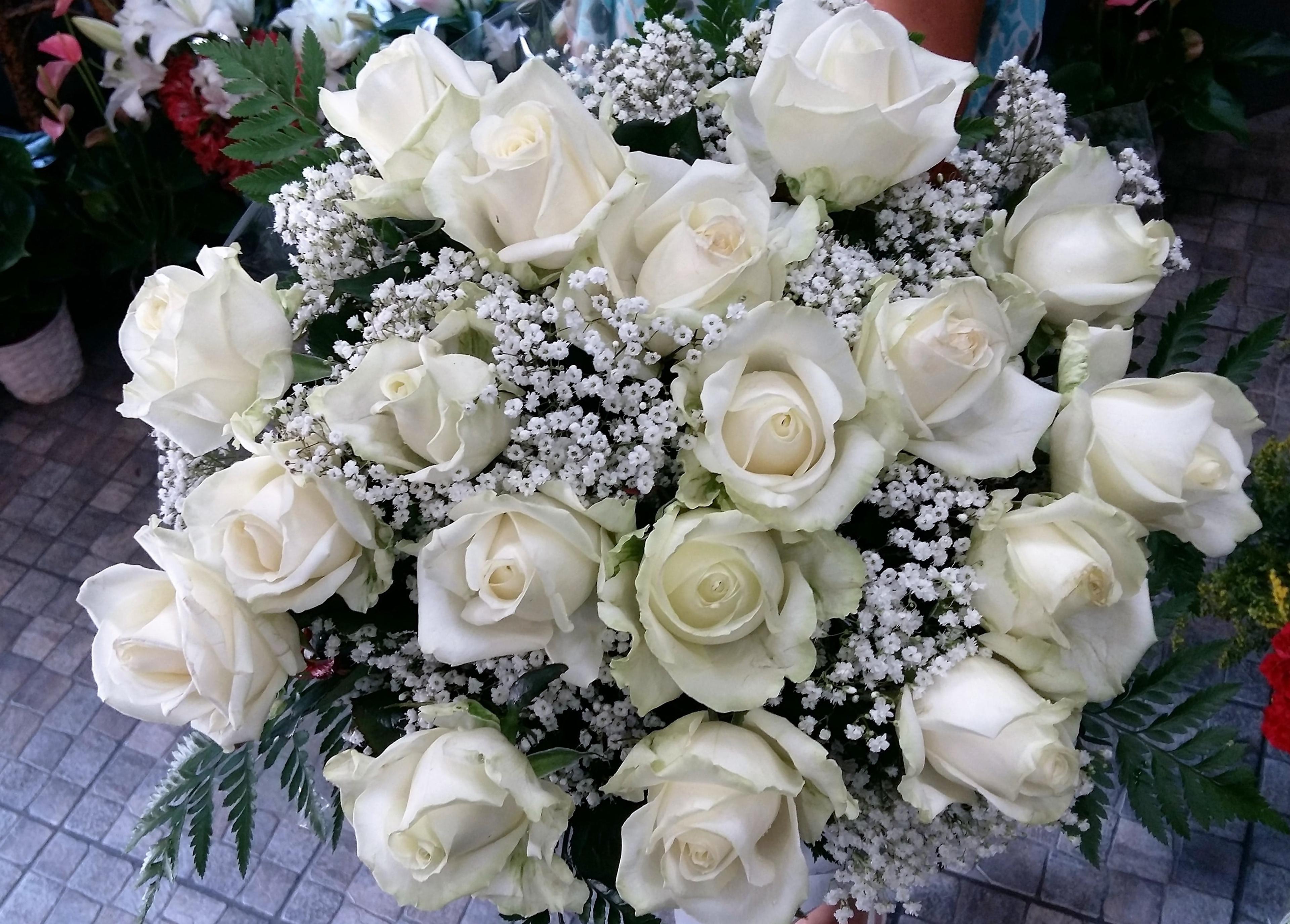 b96c1e14-7ba3-400c-b7cb-aa80fa0d9560.jpg