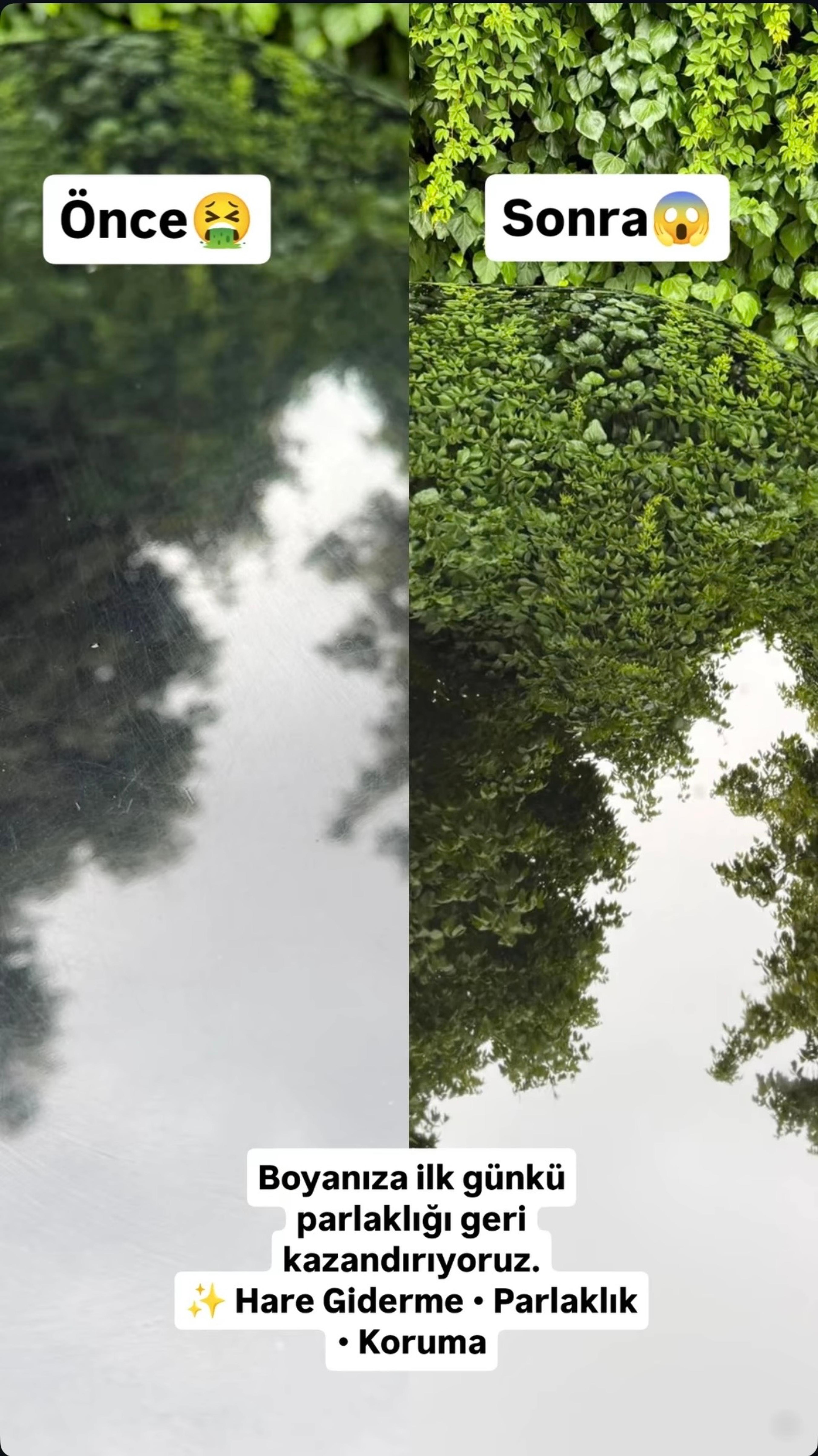 ba25764f-3083-4f58-bfdc-9f216ebbc763.jpeg