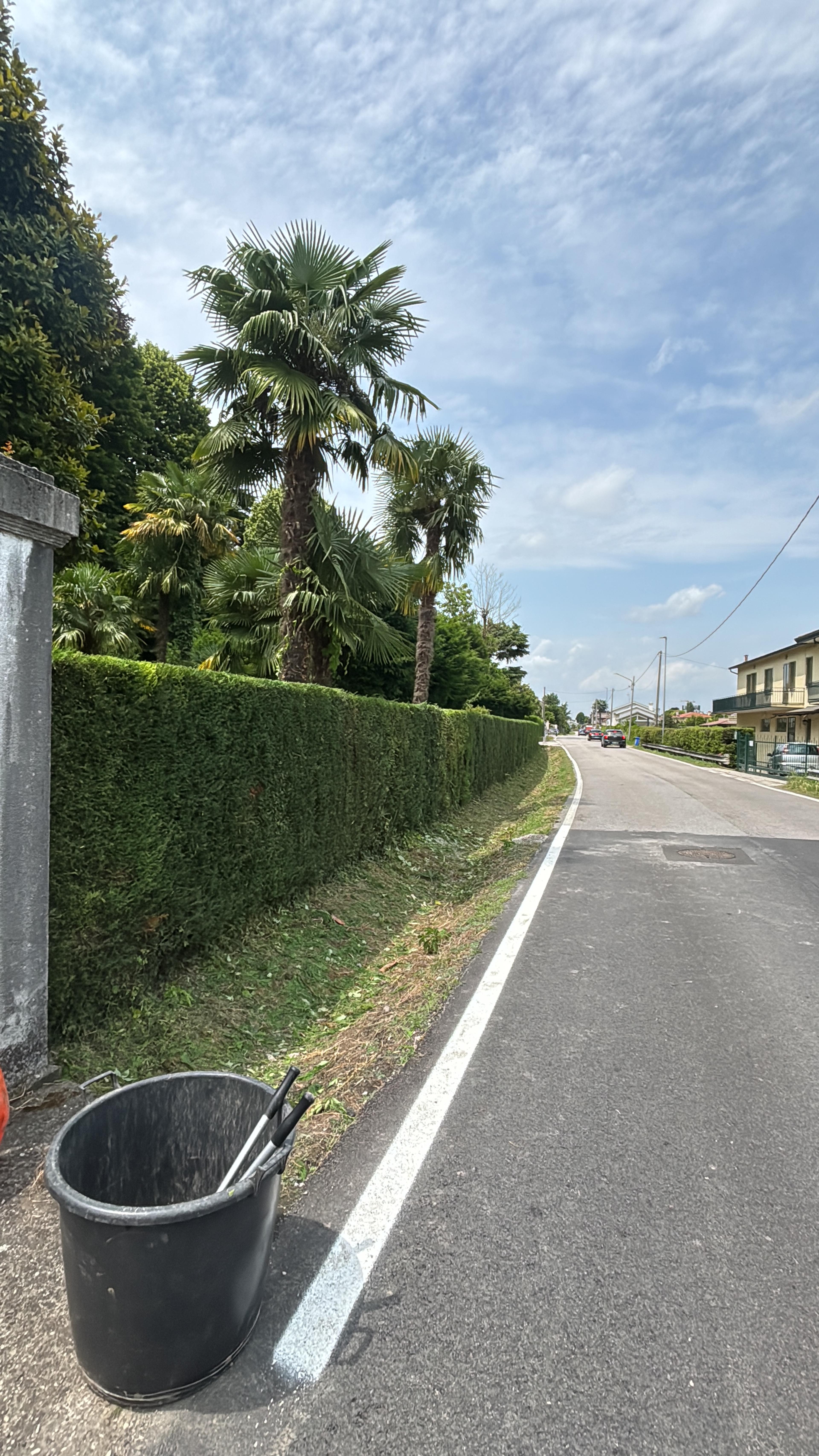 bac35657-6abd-4161-9d06-91c53cc02623.jpeg