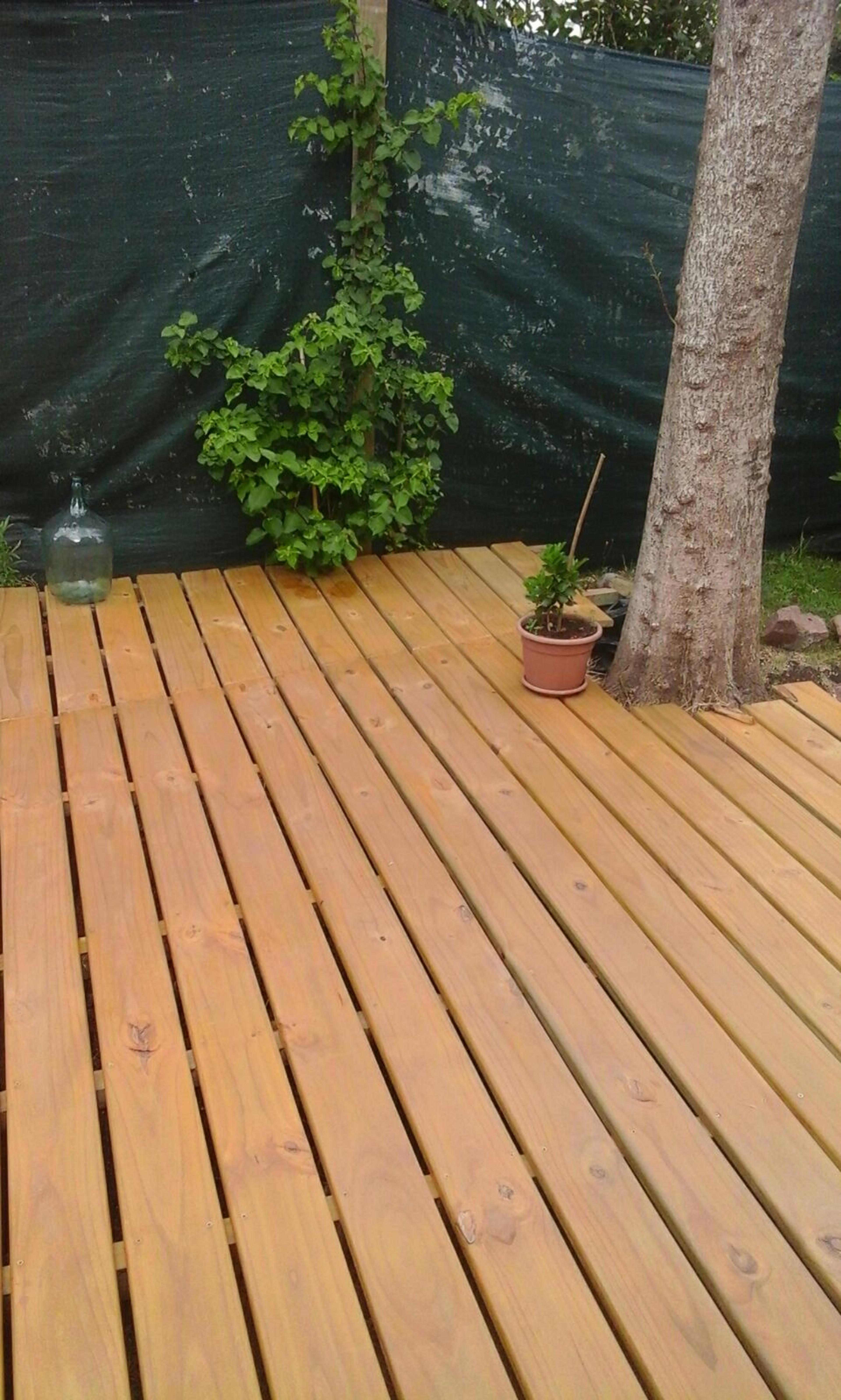 bb064e8f-ec82-4ea9-84aa-a9390668d7a3.jpeg