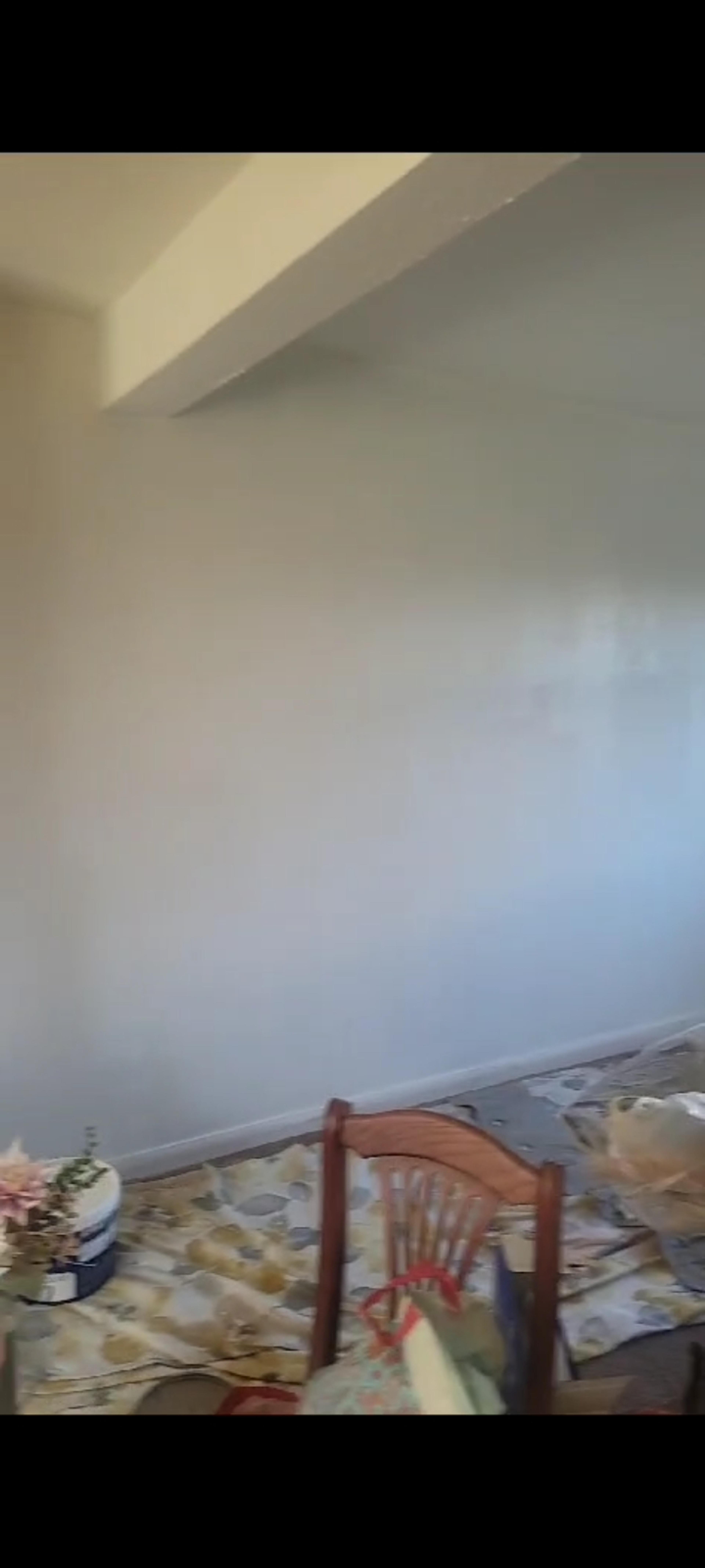 bb1f095c-d37b-48ba-a95e-5bfb3dfdd508.jpeg