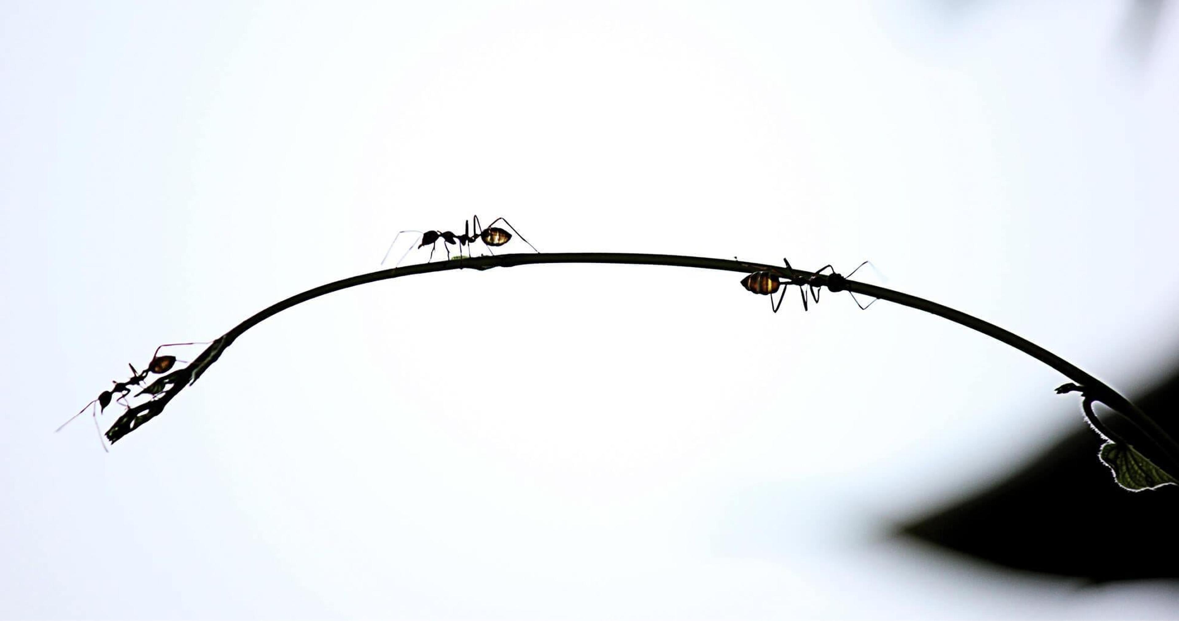 bb2091f5-716e-4aae-85a9-52a9c6393d8f.jpeg