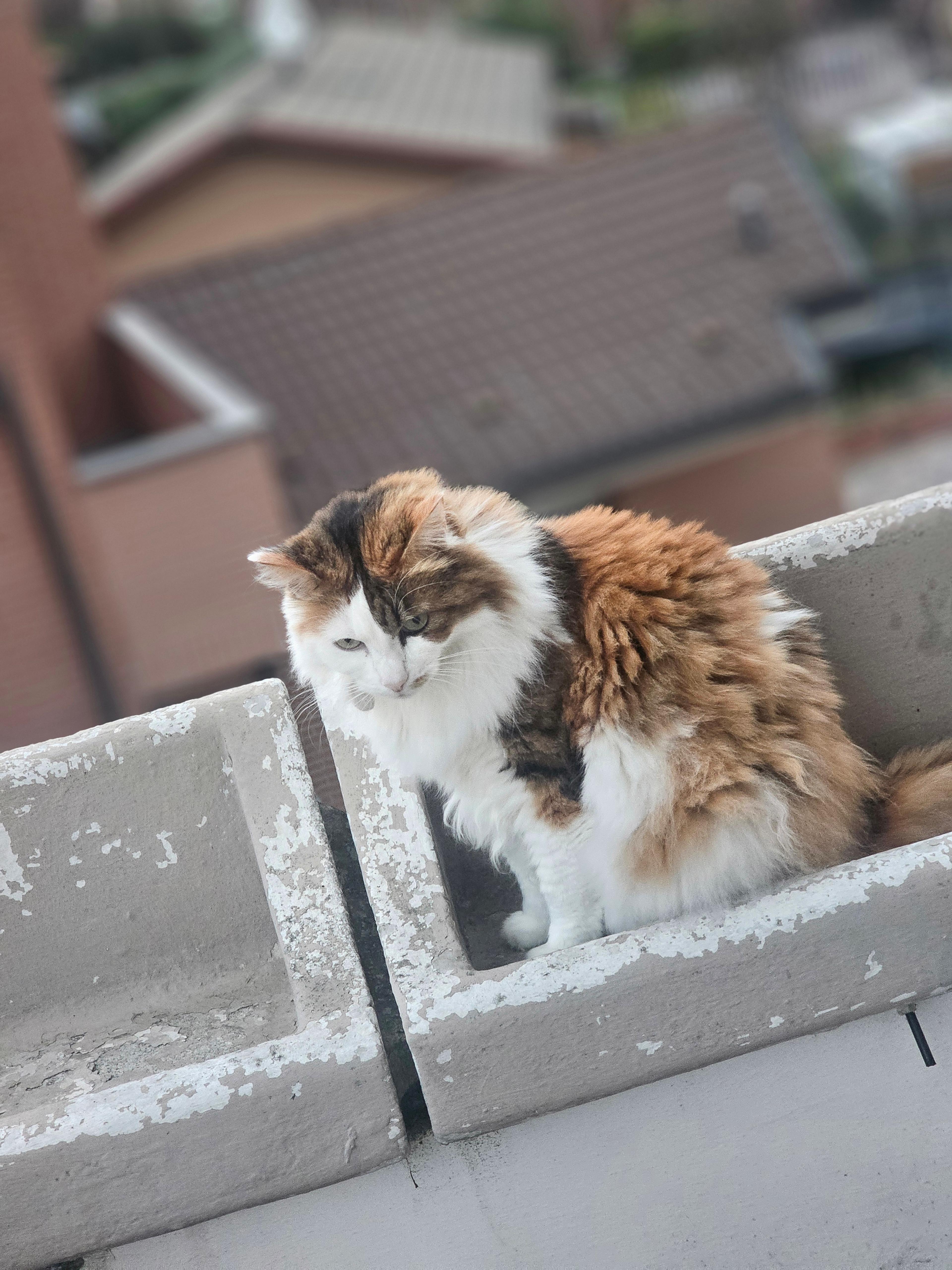 bb2d3045-7e8c-45d4-b79b-ca5886478938.jpeg