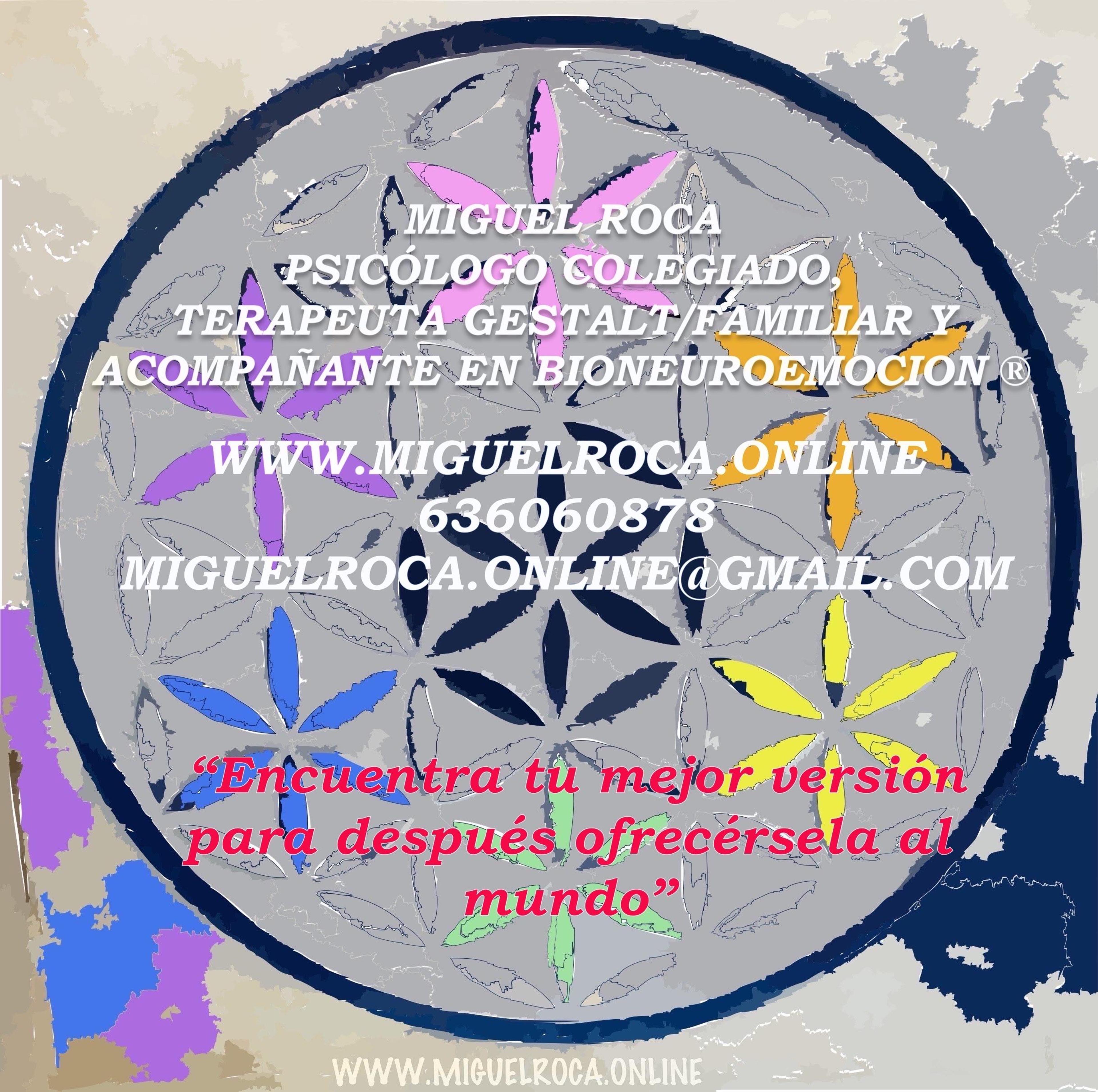 bb5d98a5-cd9e-4b91-a573-c0c5951ced59.jpeg