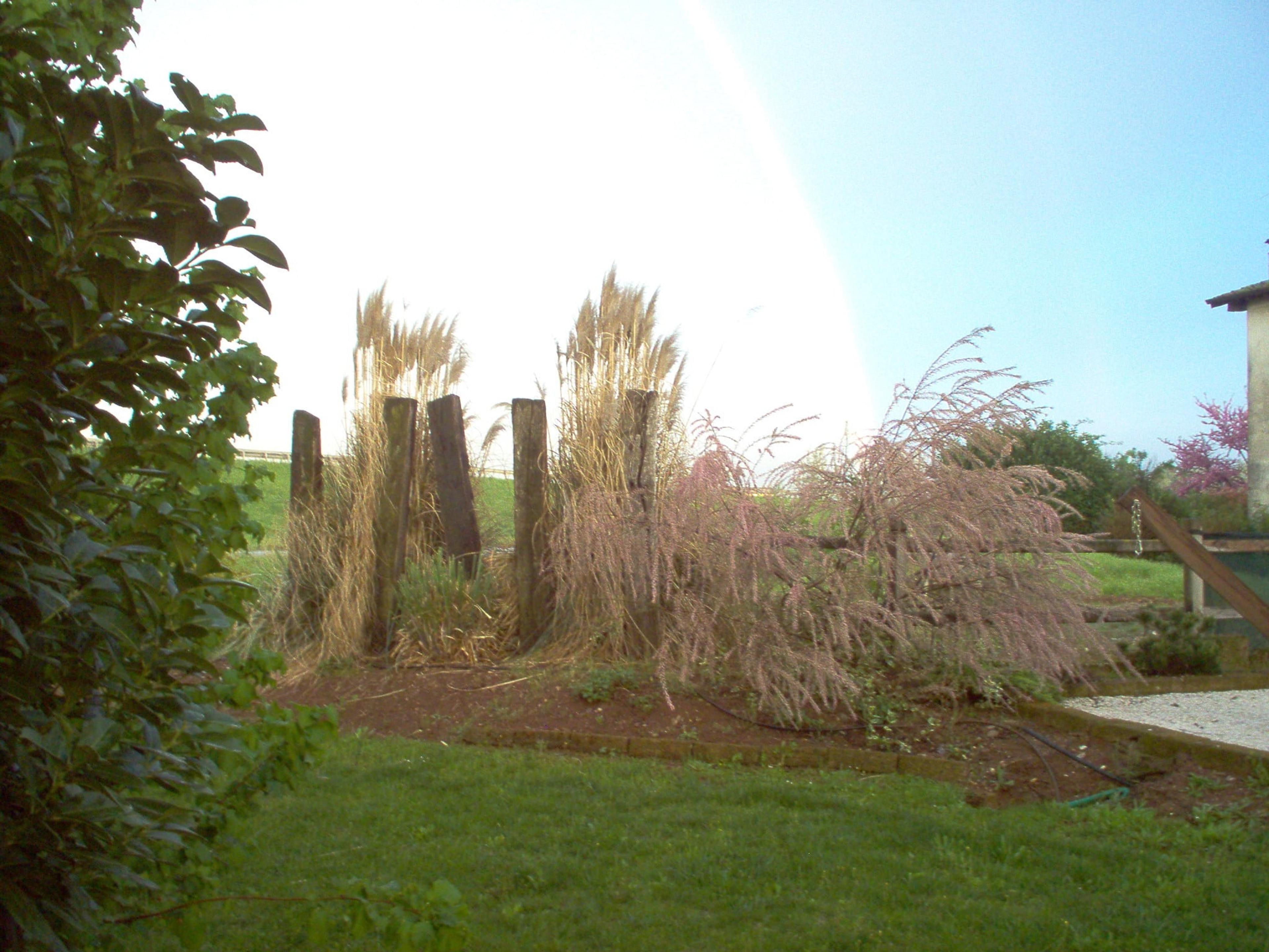 bb690960-96de-435c-b201-6edd6e6d50e5.jpeg
