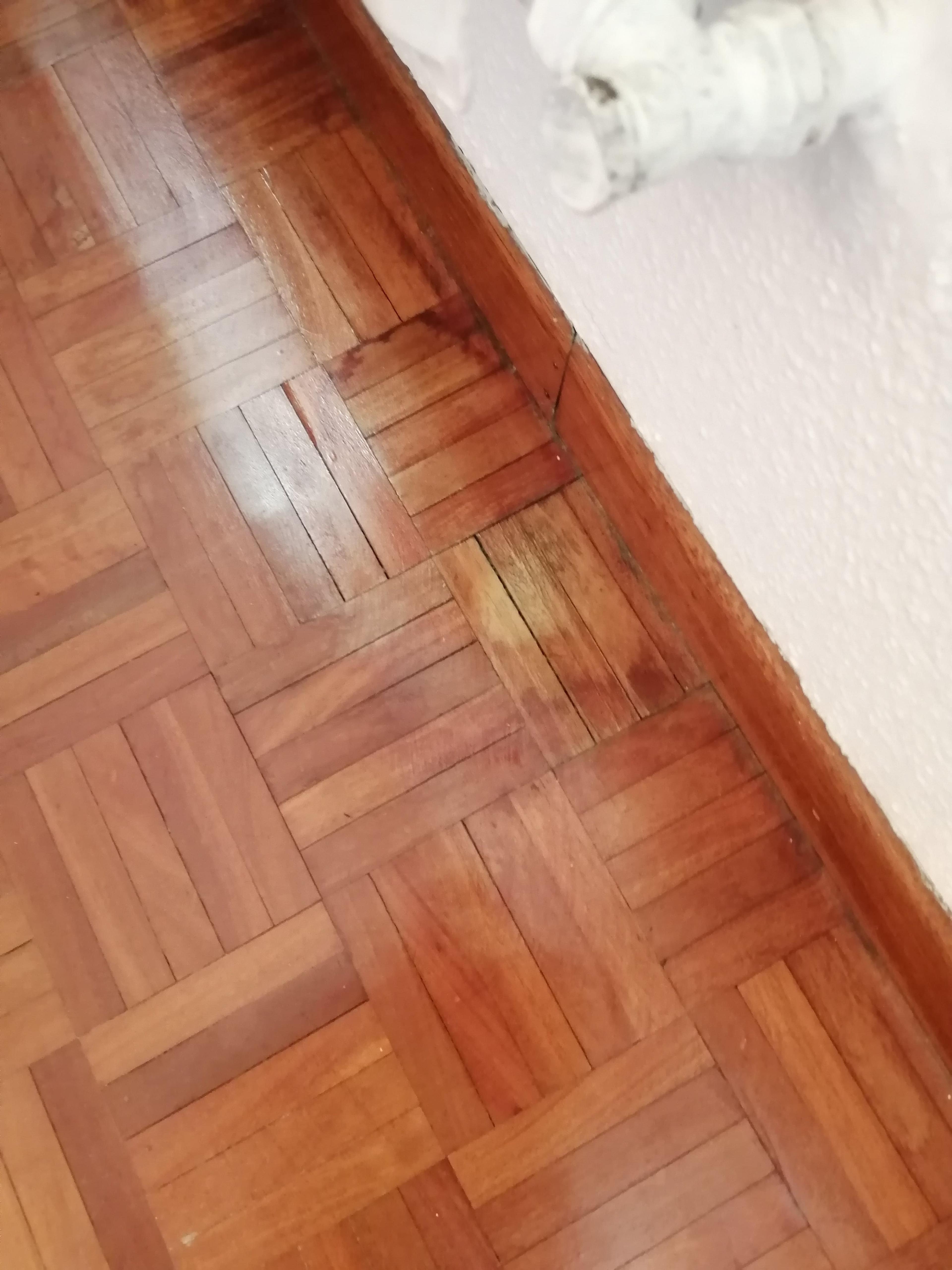 bbb8f249-2f24-4311-9aa3-b7a6296fa983.jpeg