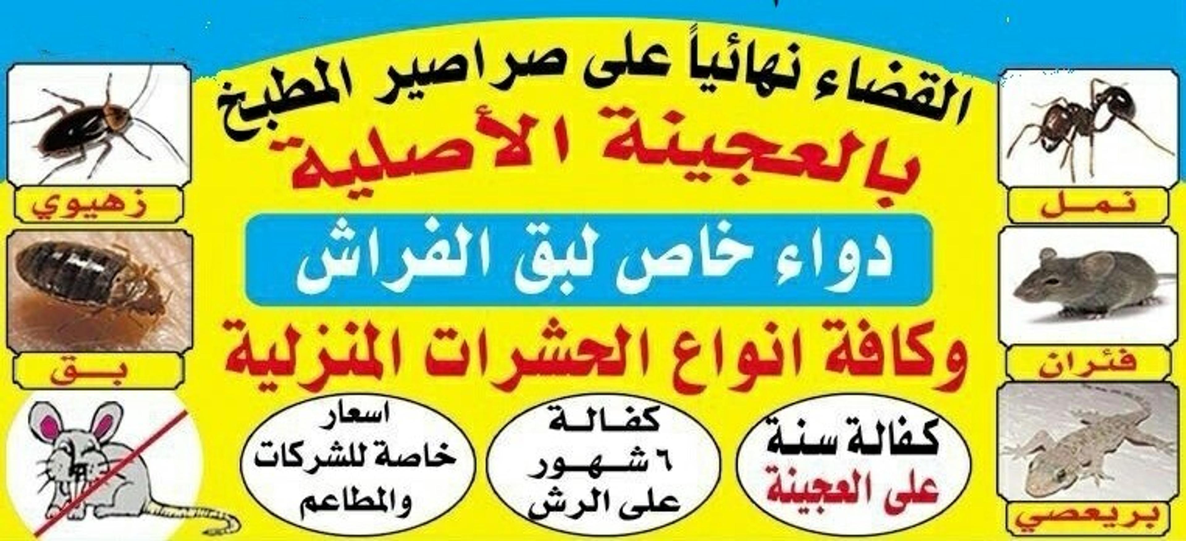 bbefe4f3-2af0-49ce-954b-f3d14a1b0166.jpg