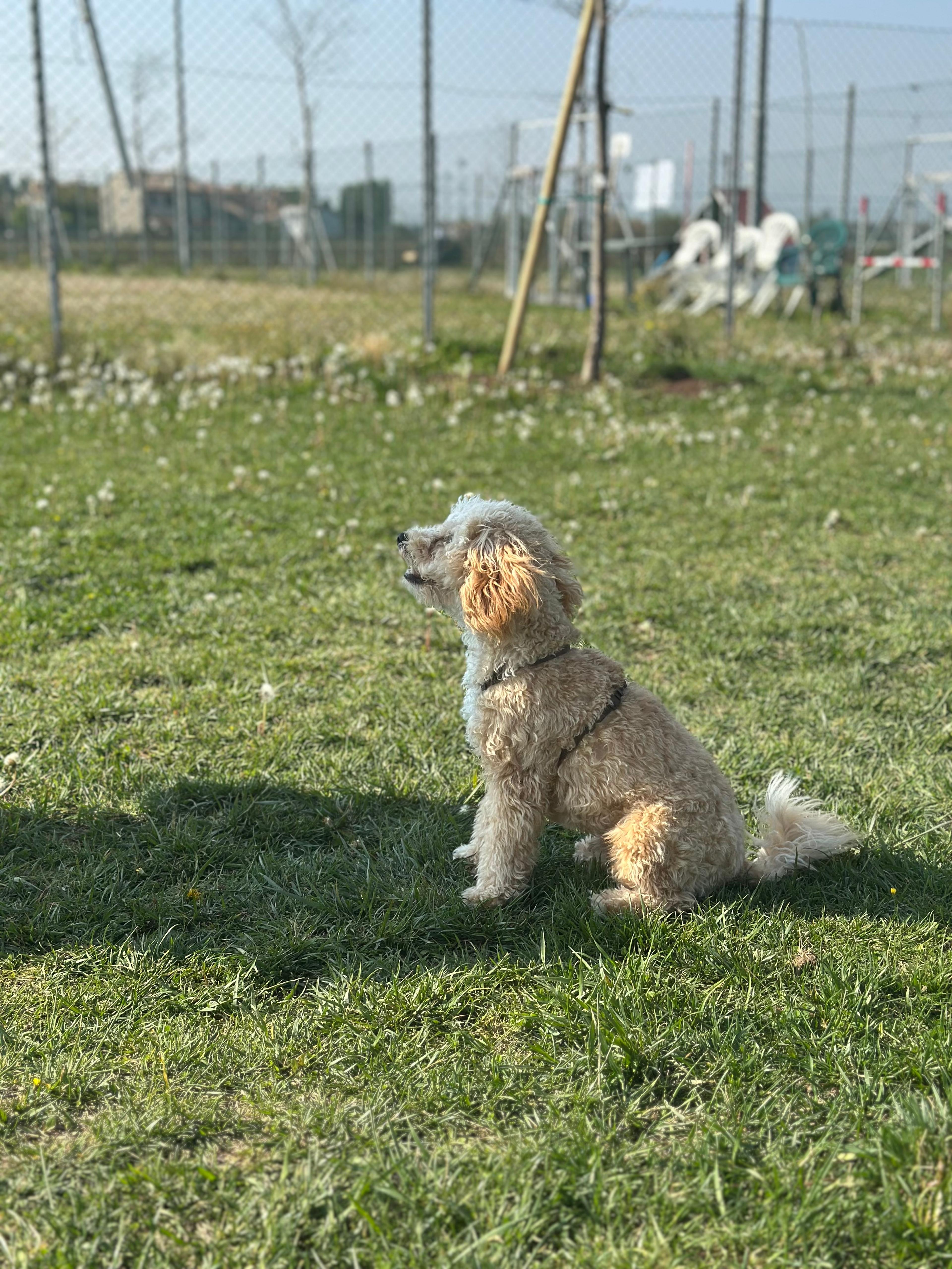 bcb41cef-afe7-4e53-b528-e254e6a9e4d2.jpeg
