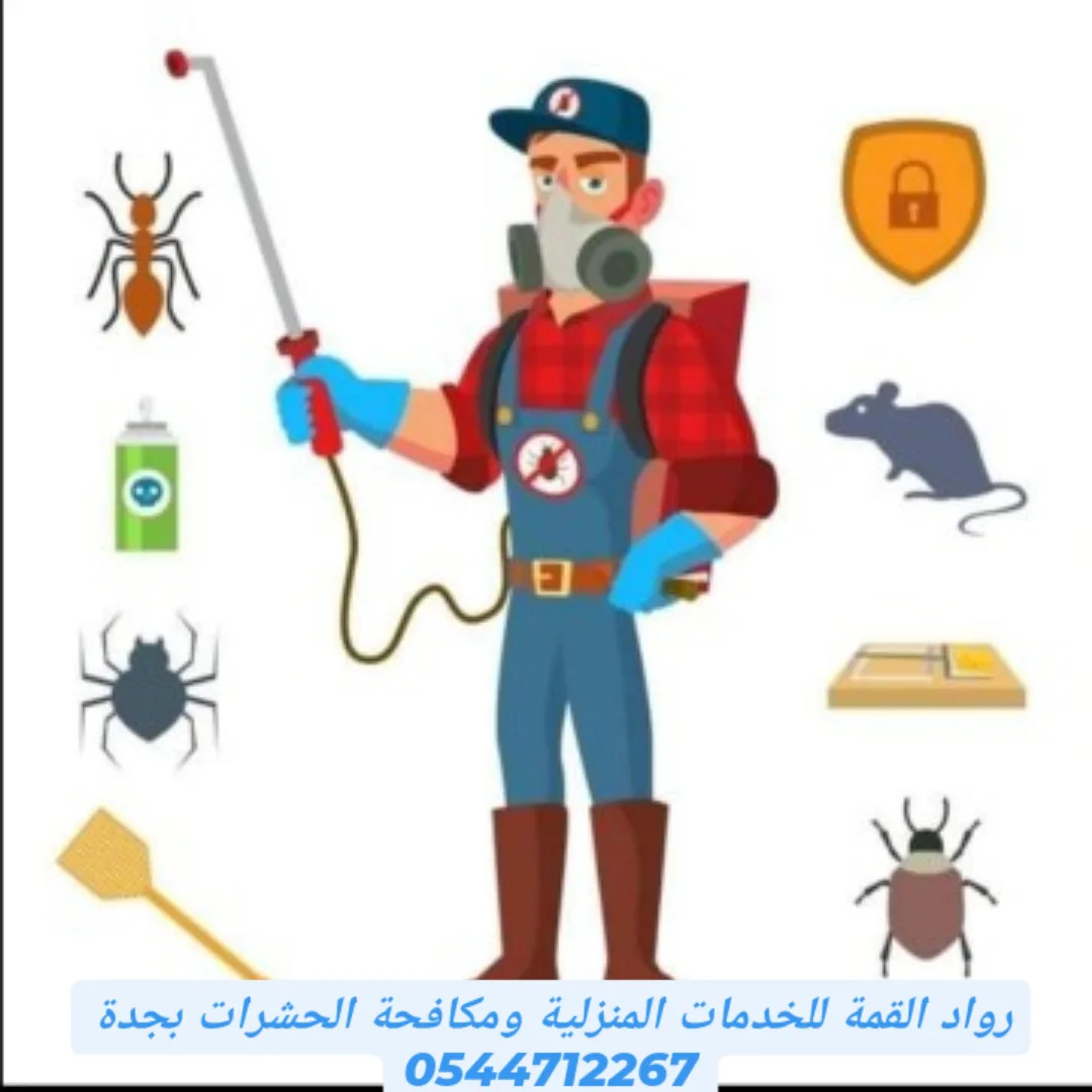 bcf24bab-4510-448d-b3cb-941df40cf954.webp