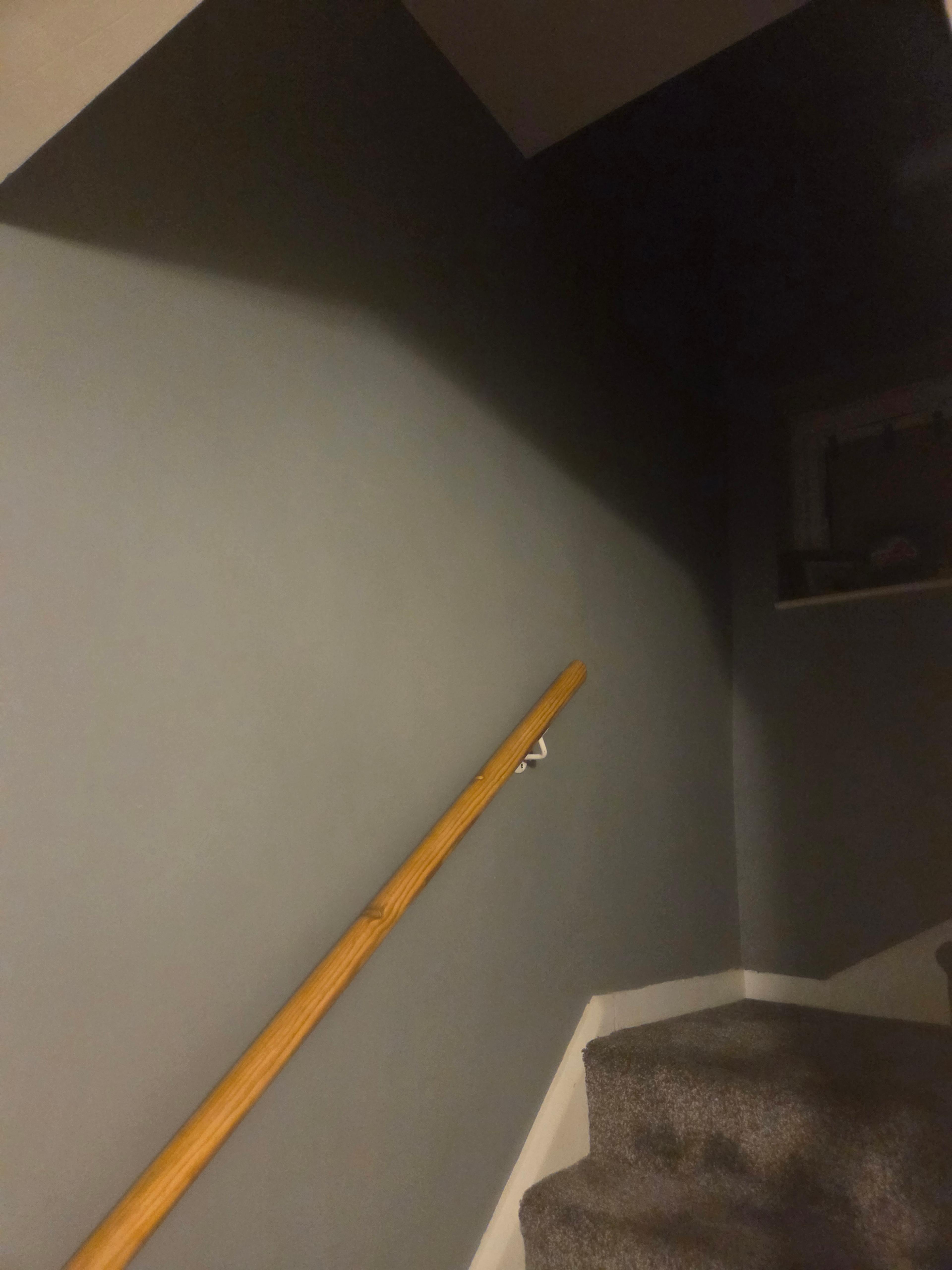 bd1d83b1-f4fa-4edf-a85c-84c8244bf821.jpeg