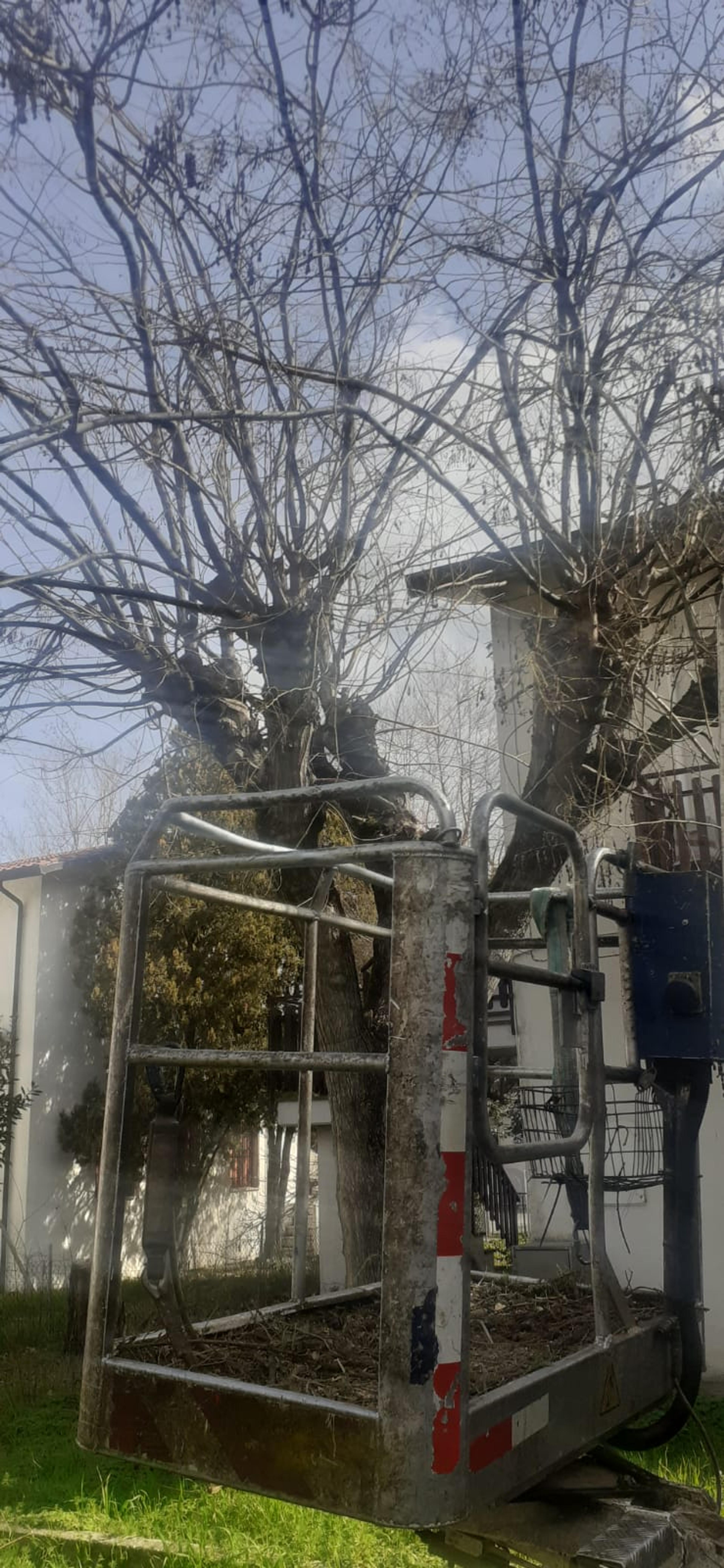 bd256f4e-c66c-43e9-a699-d3ce71862075.jpeg