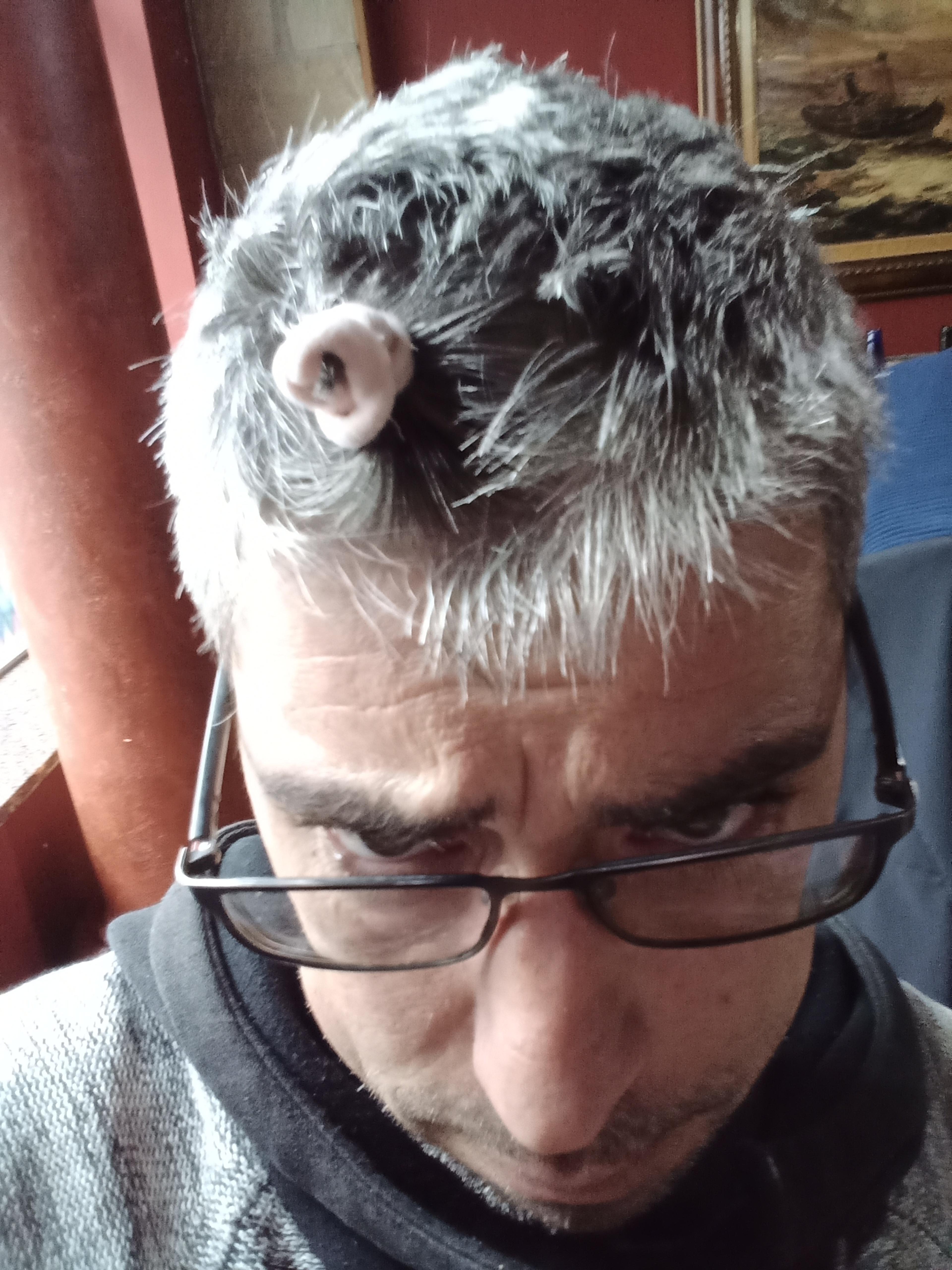 bd8dafb6-8395-40e1-9006-c6e0aa1ba030.jpeg