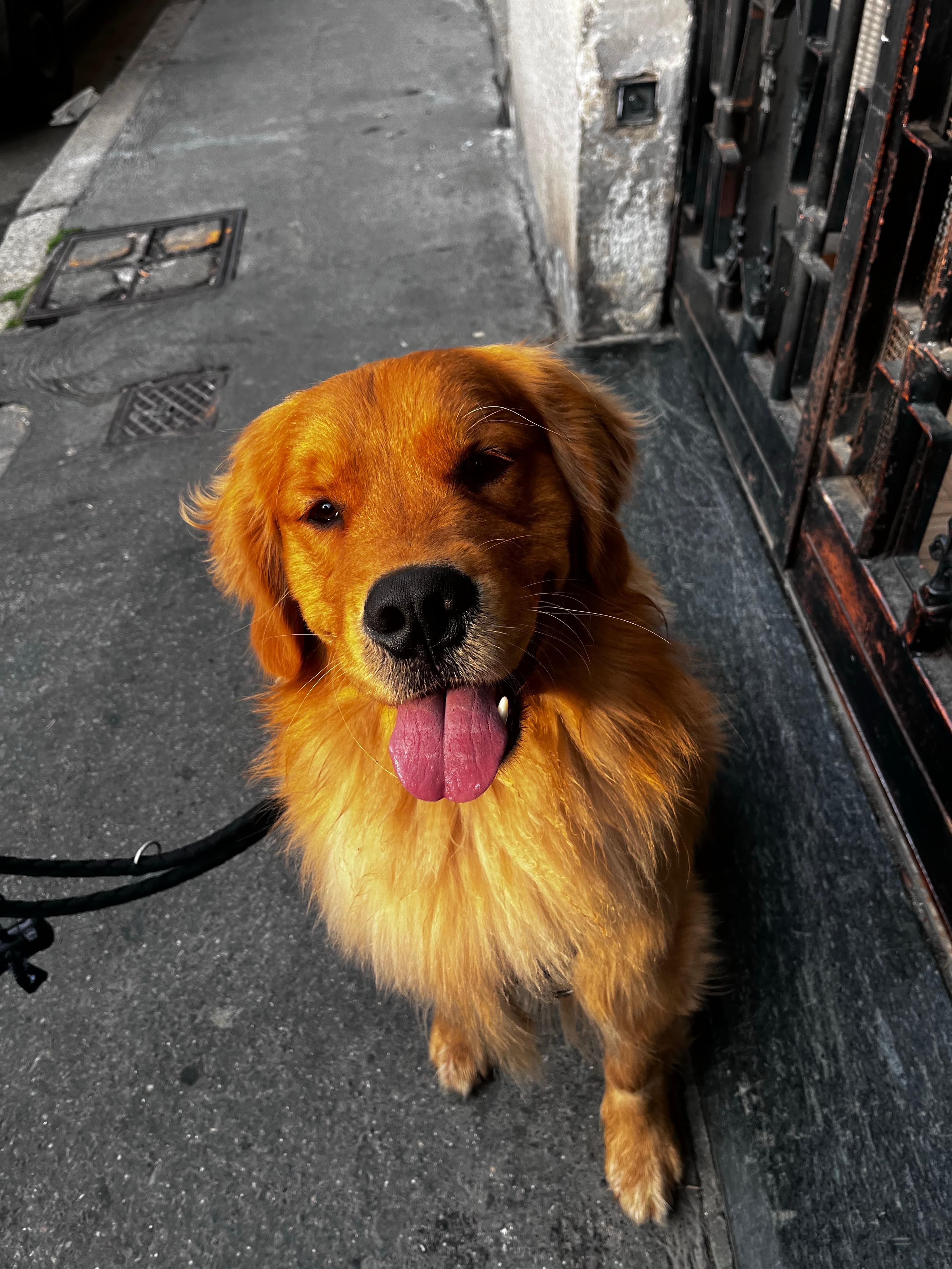 bea738d2-3a1b-41fb-9901-3be8b3fa1ab0.jpeg