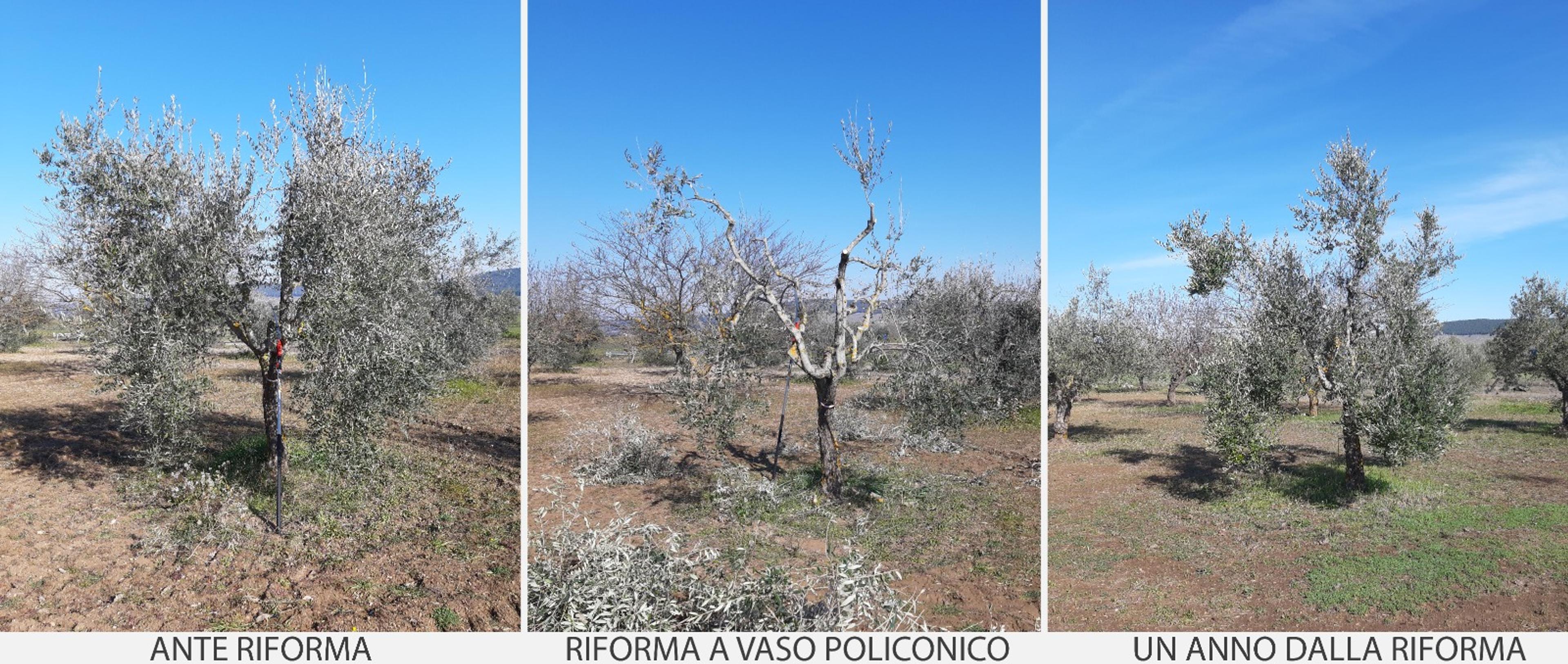 beba7782-a029-400c-a425-e6f4a8eaa67c.jpeg