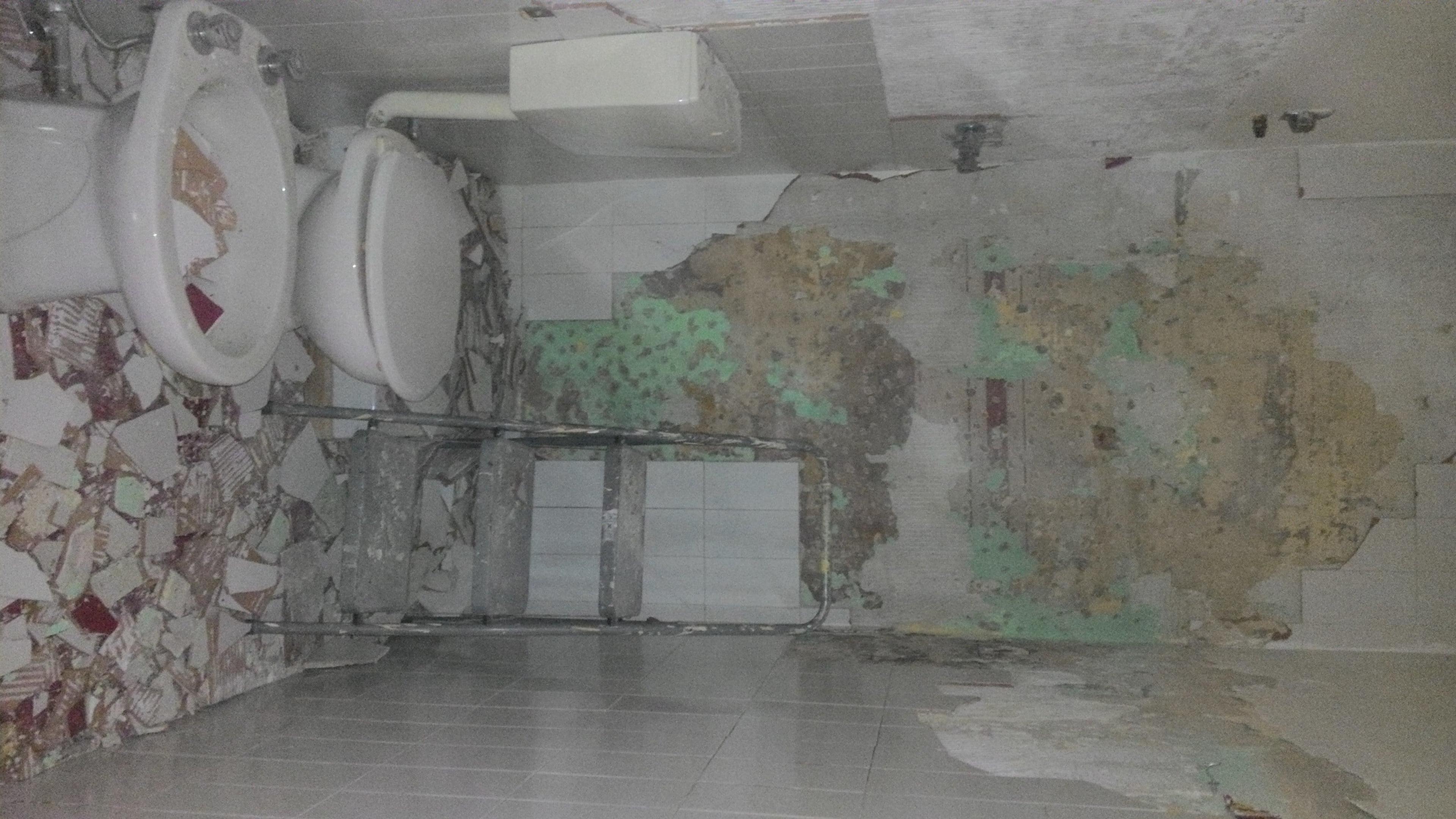 bf084aab-cbe8-4a21-b1ee-e0bfbe0fd02c.jpeg
