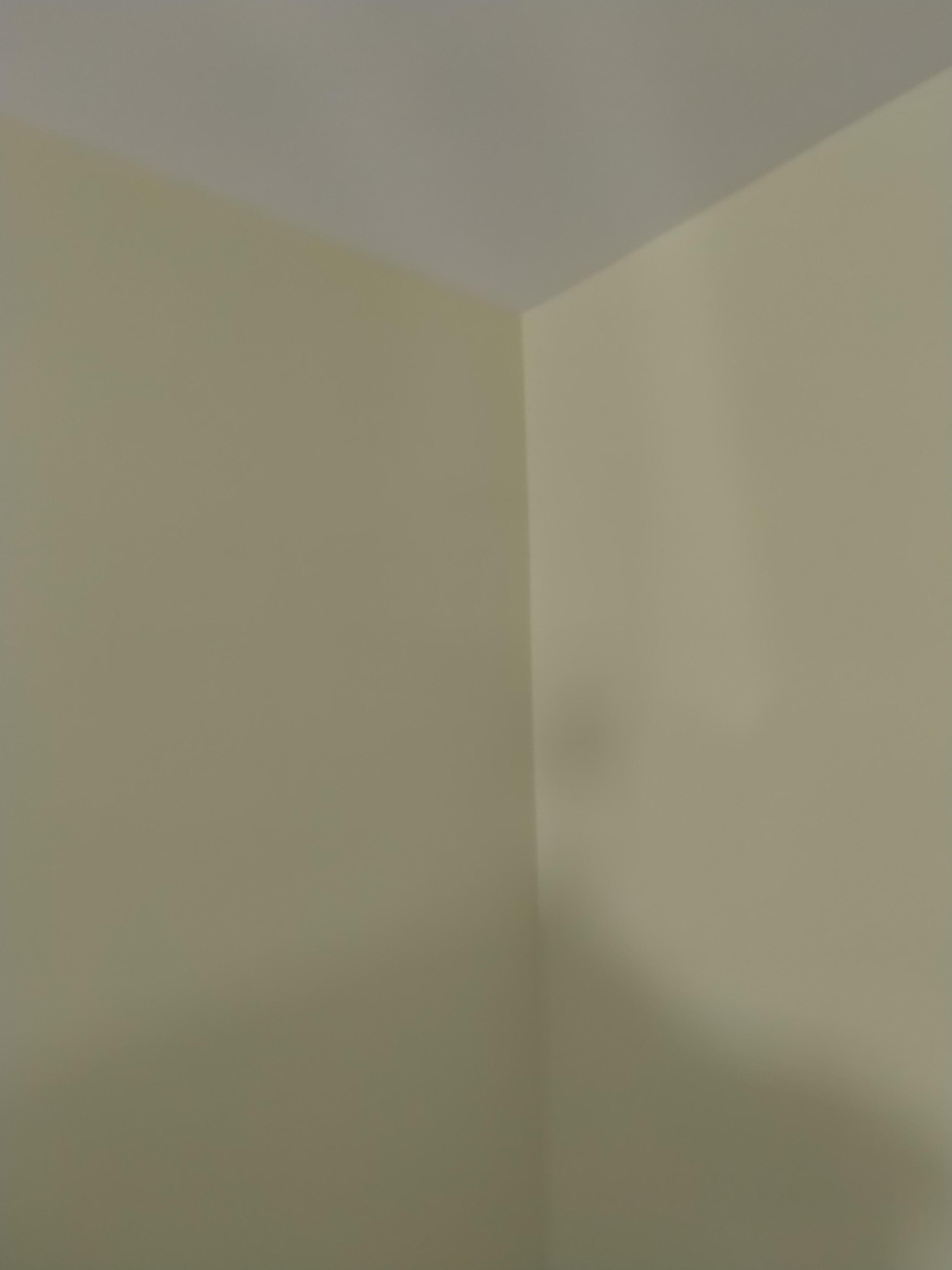 bf842f6e-ce97-4e64-875b-c54b607c1be6.jpeg