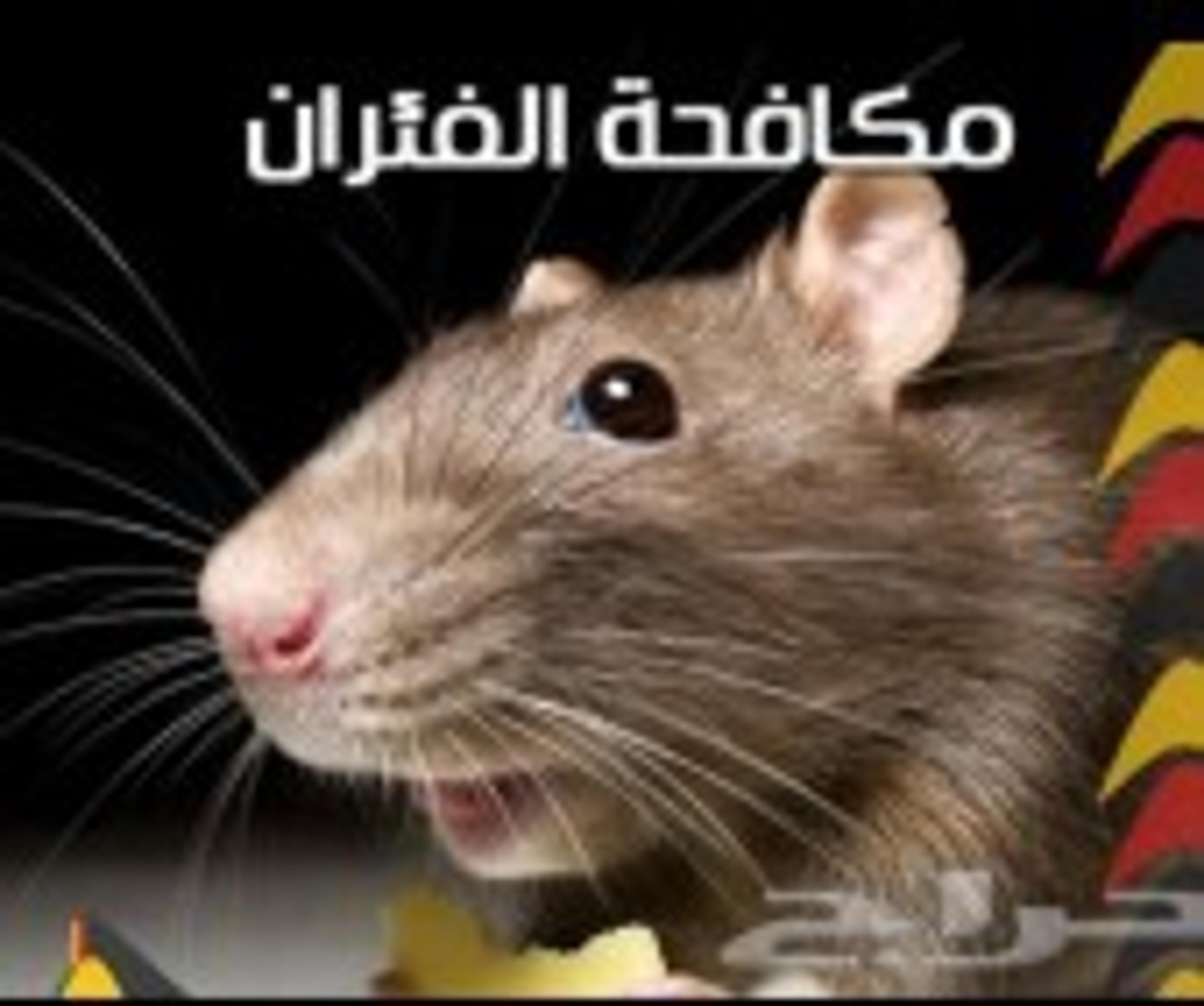 c042cf67-351d-4dbb-be2c-36531d32c8d8.jpeg