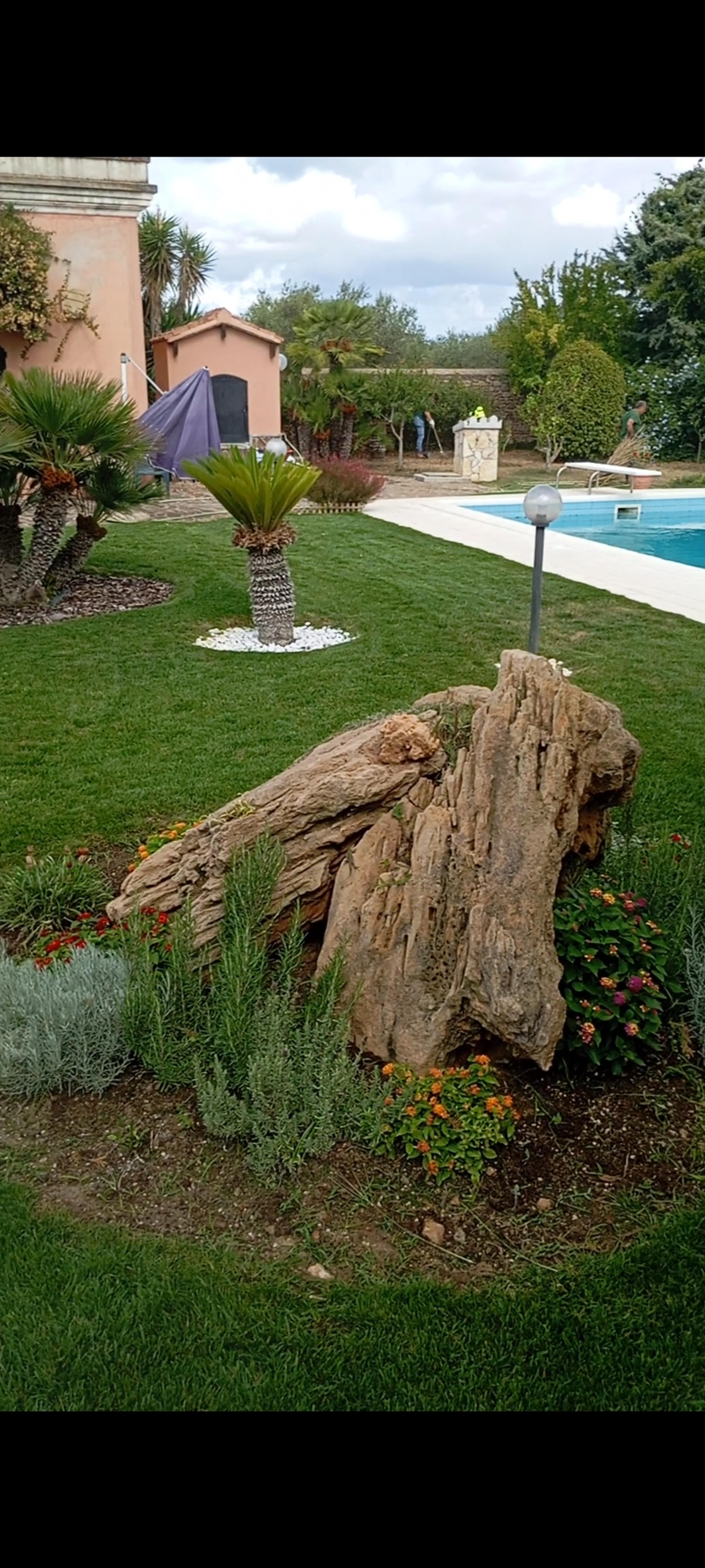 c0684f9e-de2d-4bf0-ba72-09a88f46d988.jpeg