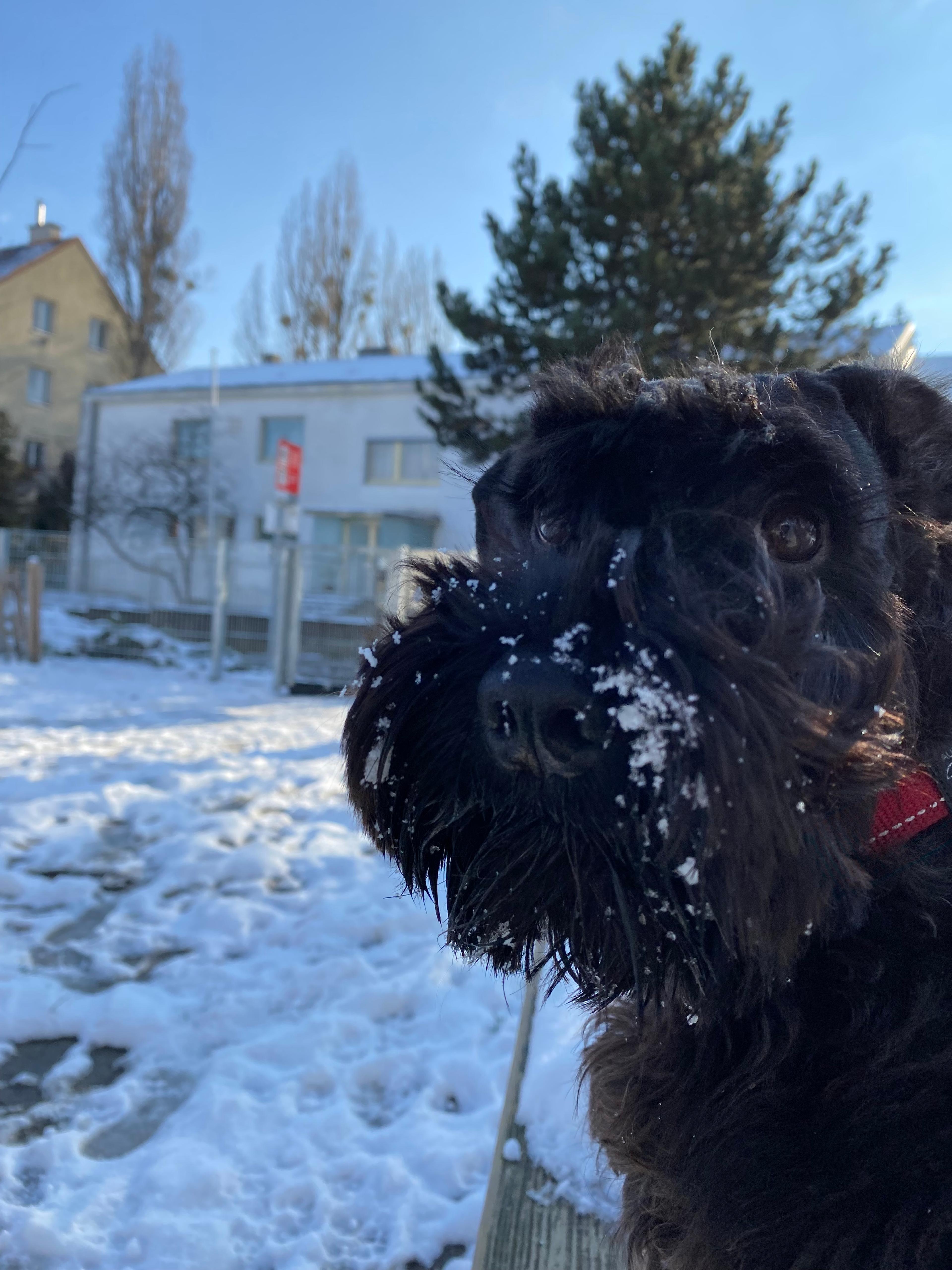c084be6c-d6d8-4a80-a208-259c93367491.jpeg