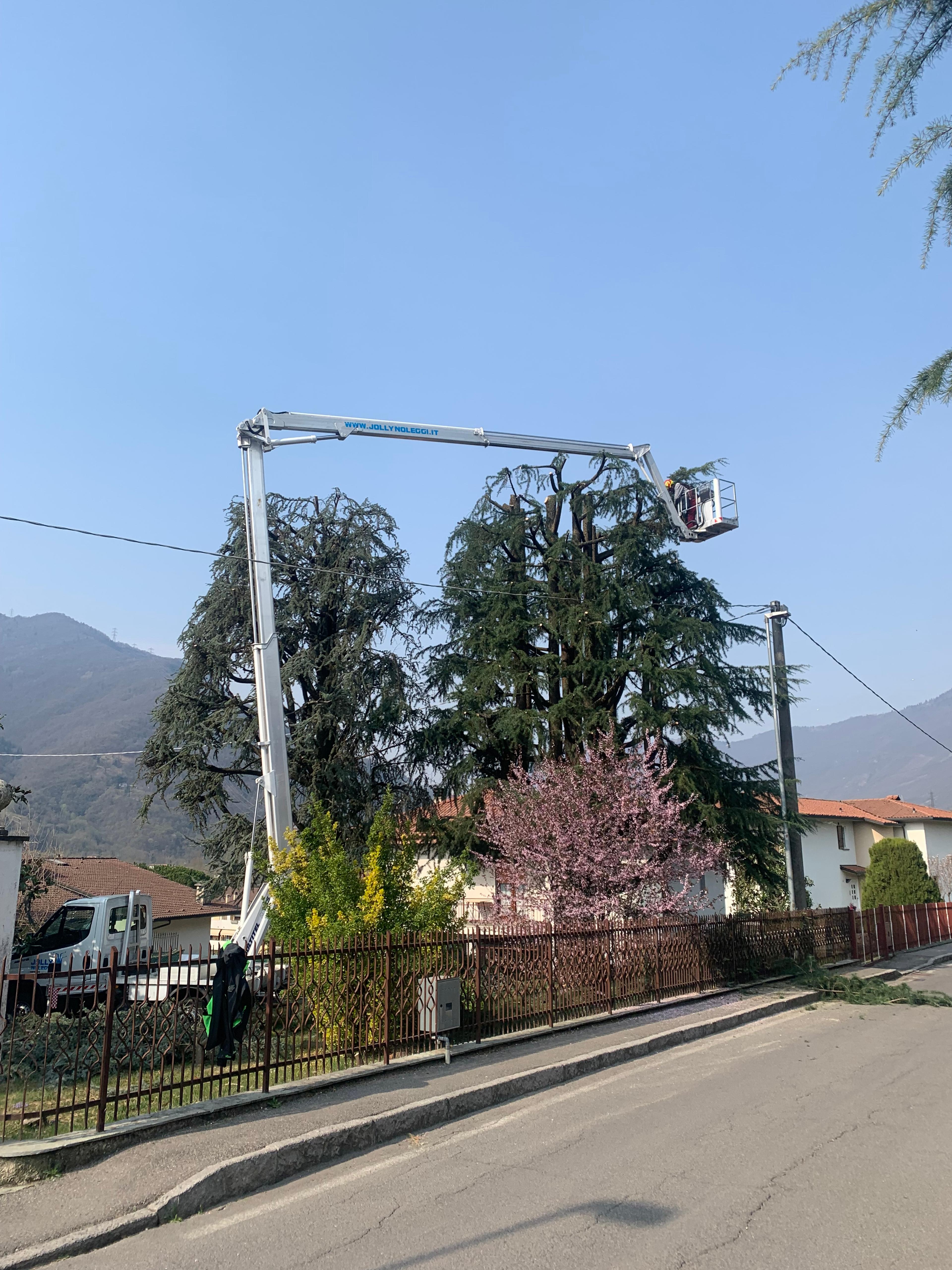 c0904ed1-ce85-4963-aa02-667a7ab583f2.jpeg
