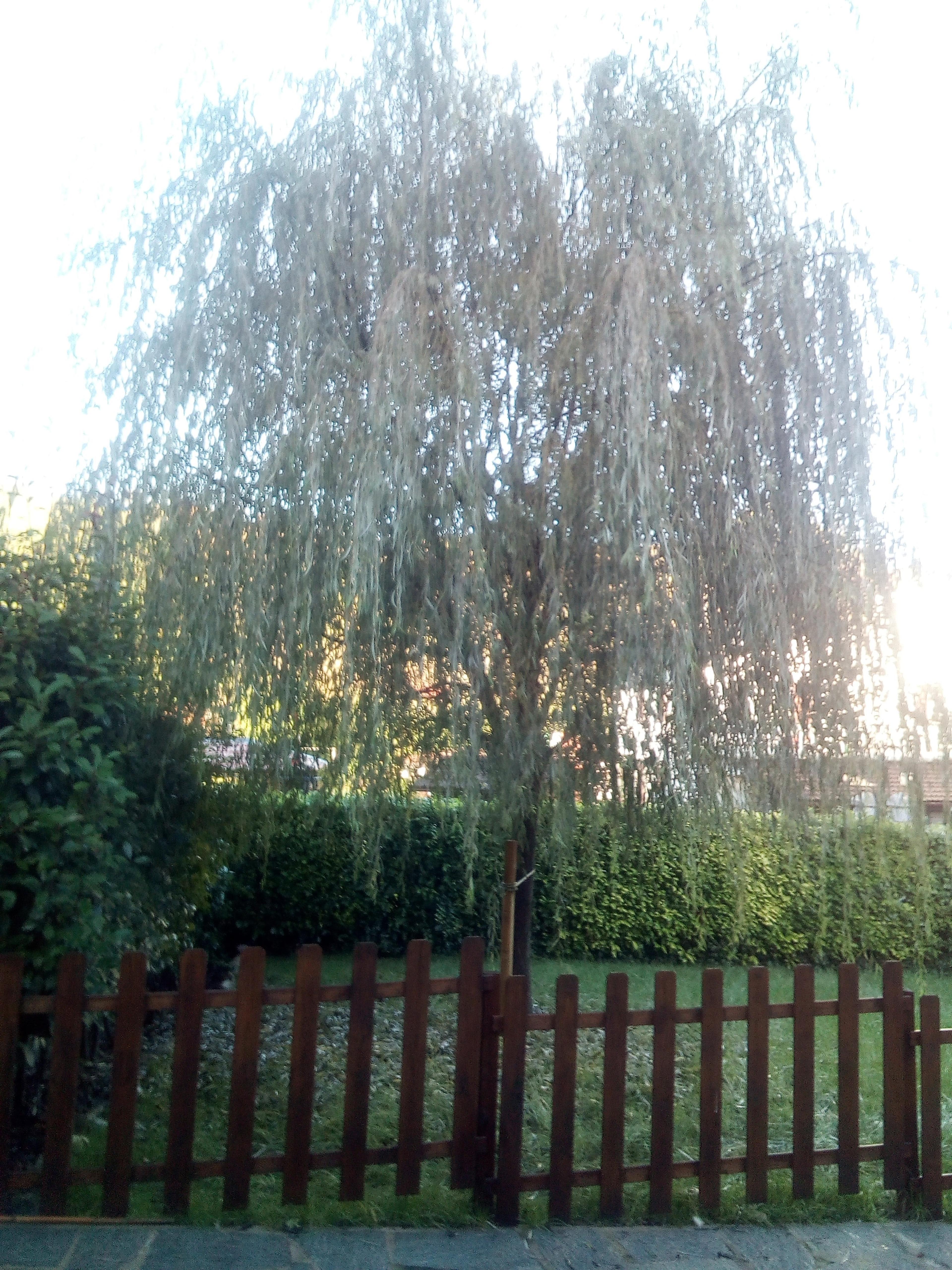 c0c60aad-a62c-410e-92eb-c1b1e5cb493b.jpeg