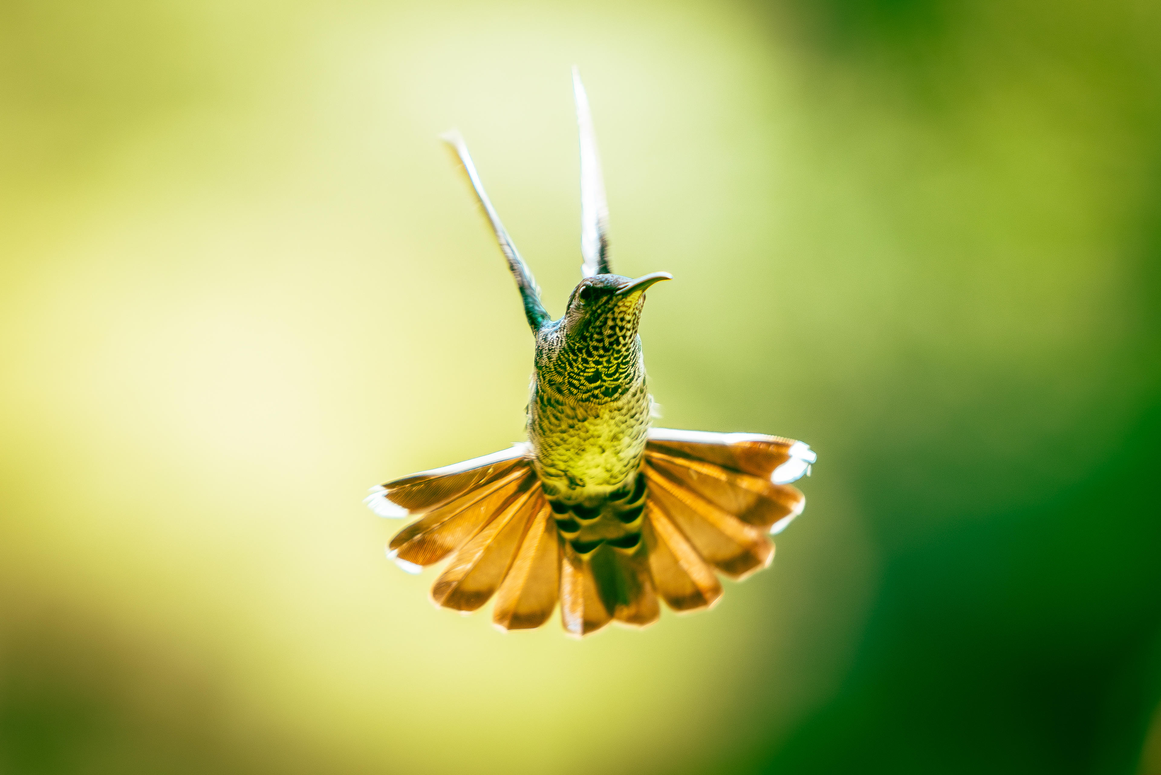 c147e0d5-11d6-4d43-a641-aef6496f2b1e.jpeg